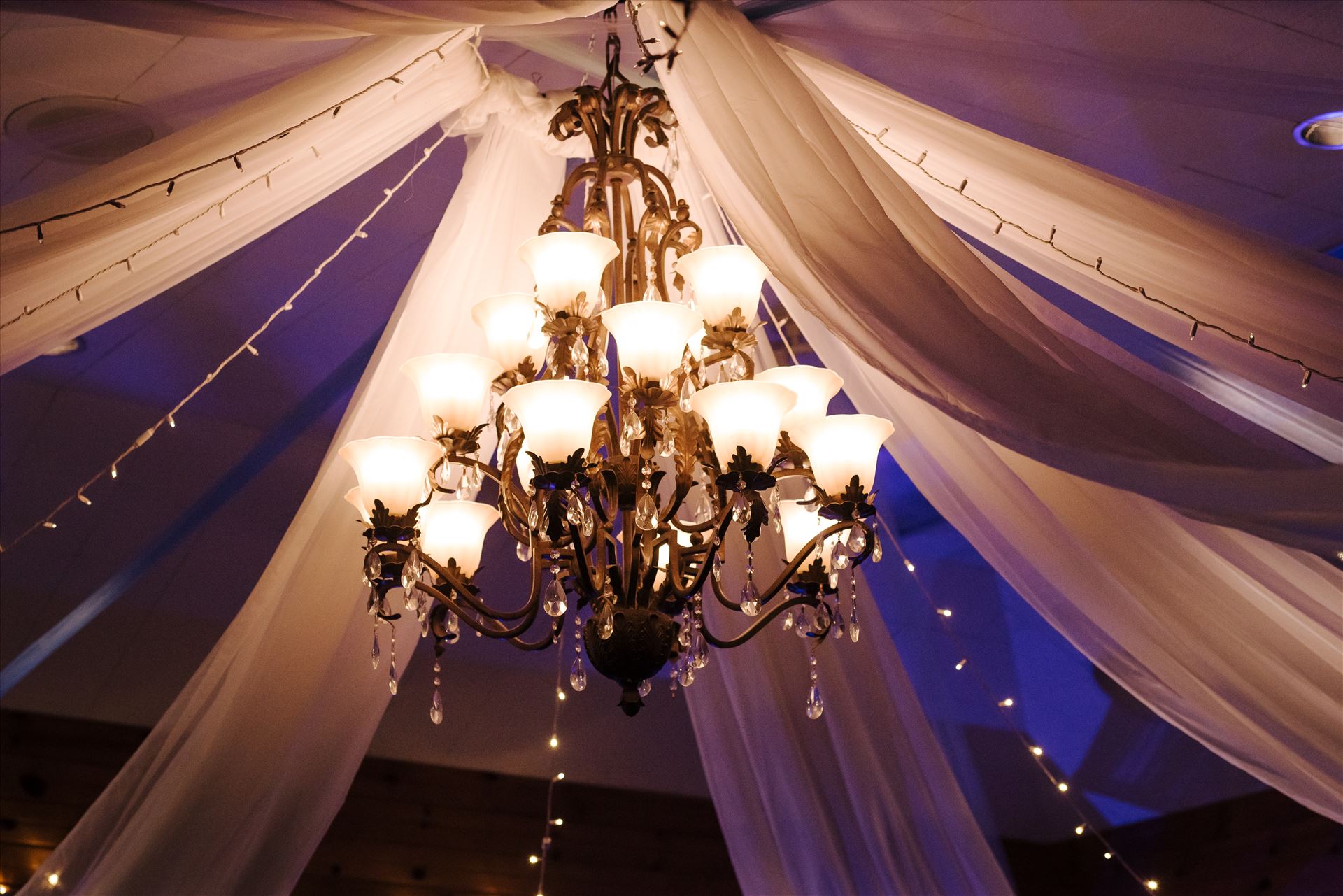 WF--131.JPG  by Sarah Williams