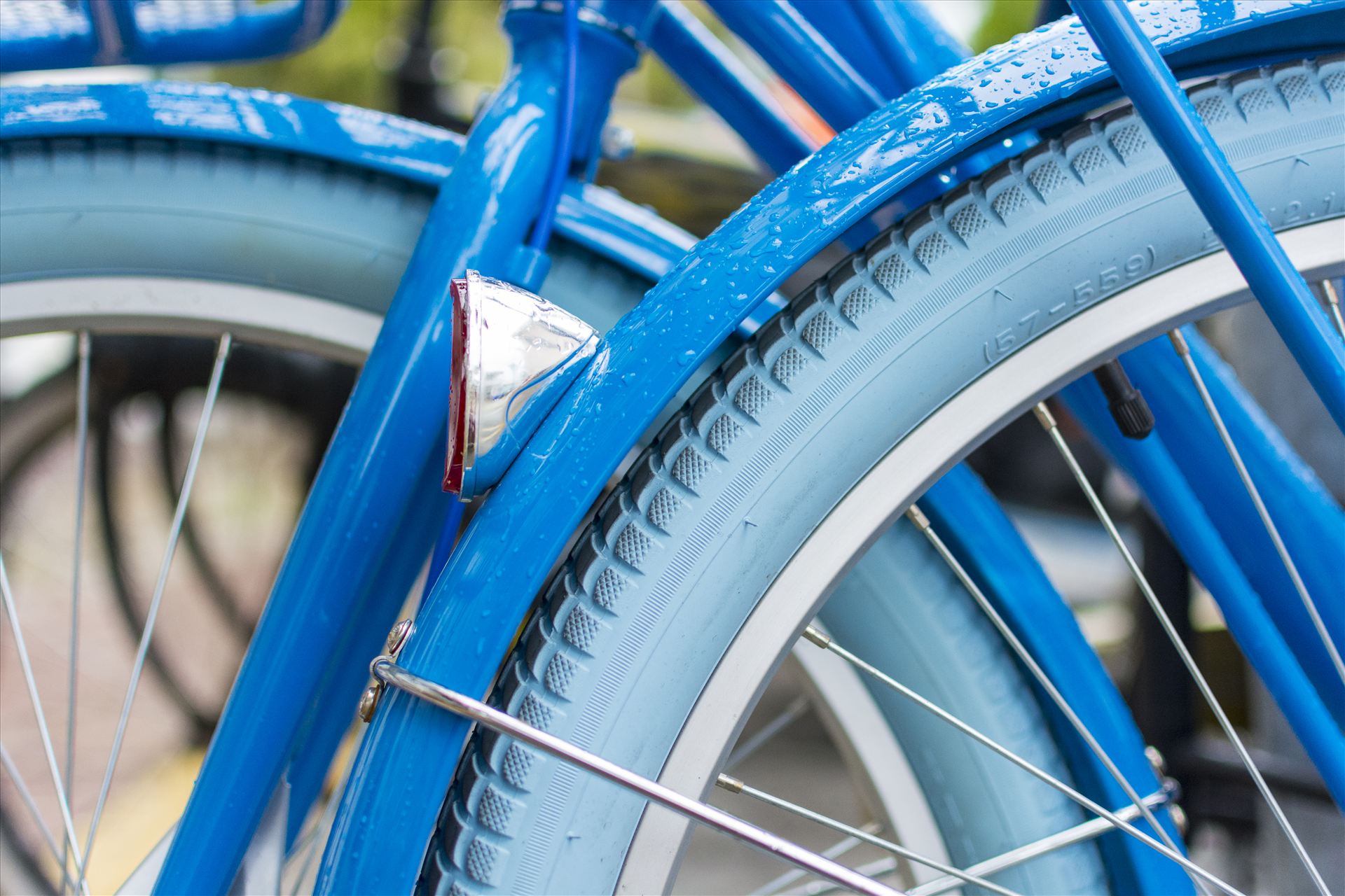 Rainy Blue Bike.jpg Rain slicked blue bicycle and a Key West morning by Sarah Williams