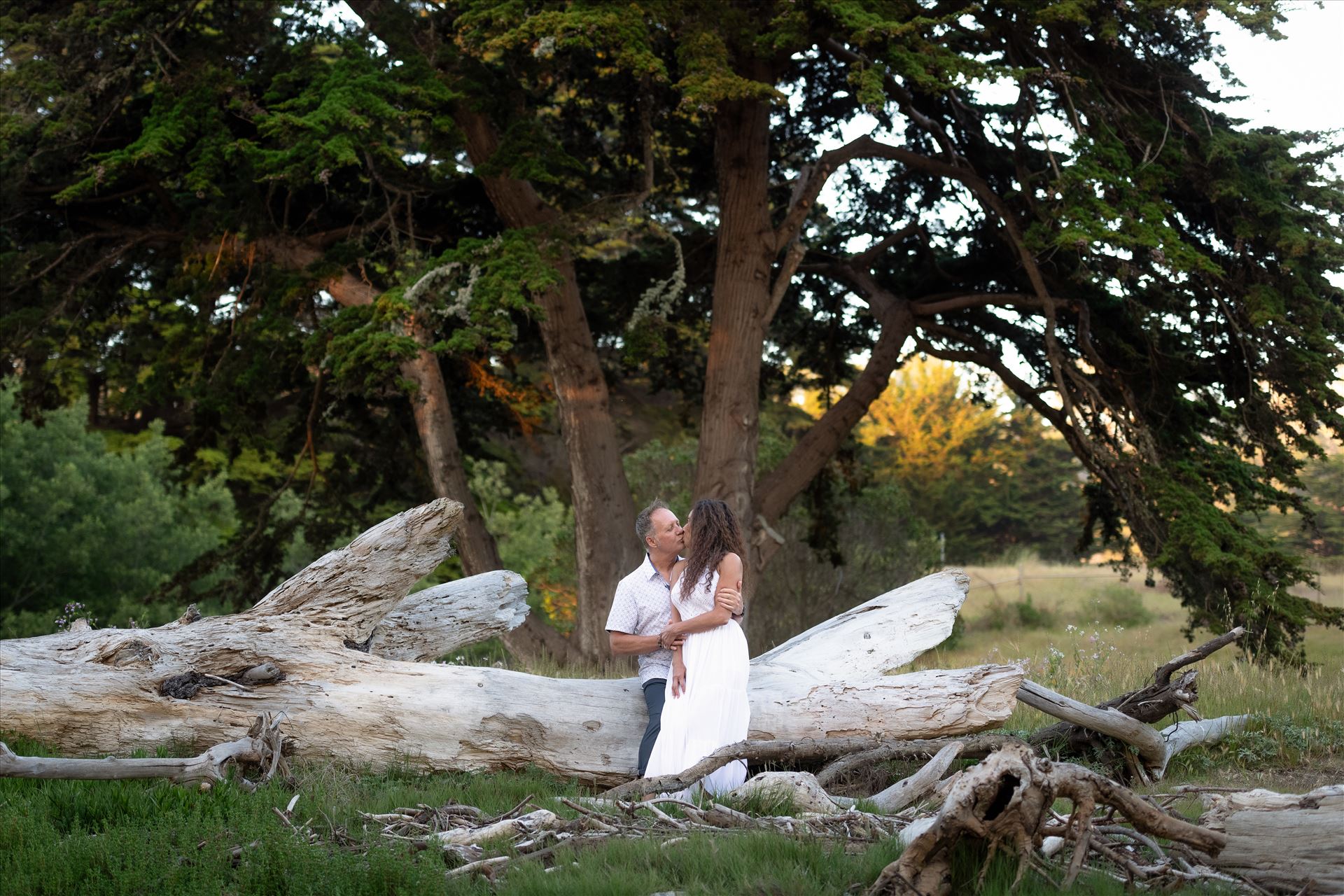 Final--7.jpg  by Sarah Williams