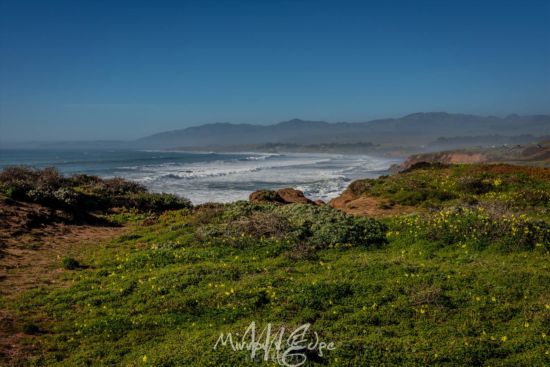 Rugged Cambria Coast 02132016.jpg undefined by Sarah Williams
