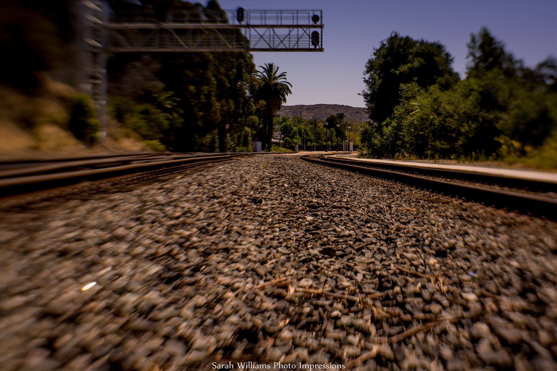 Between the Tracks.jpg  by Sarah Williams