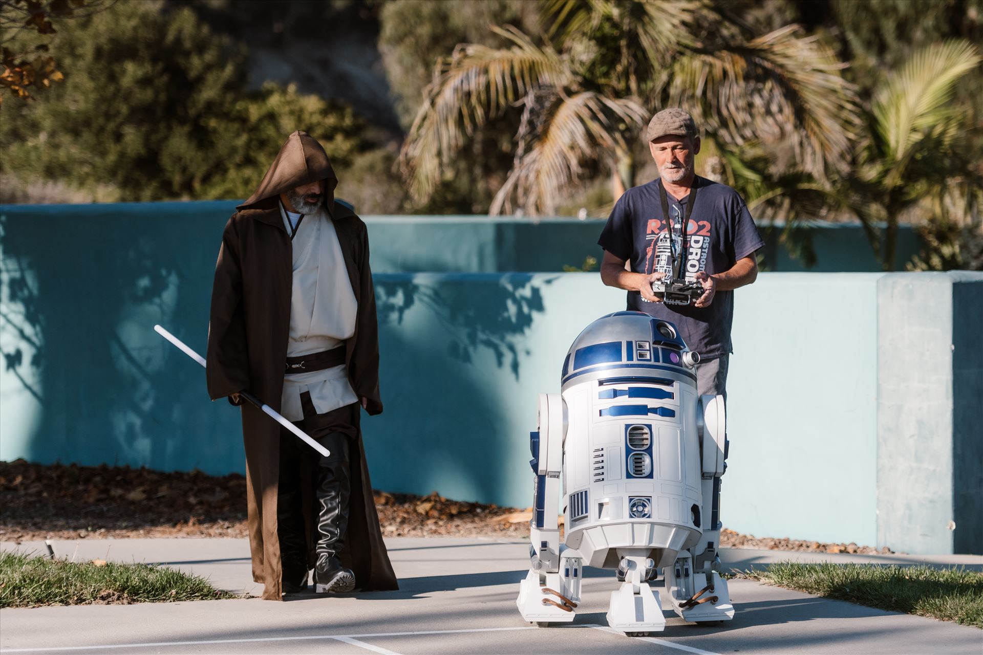 Final-8137.jpg  by Sarah Williams