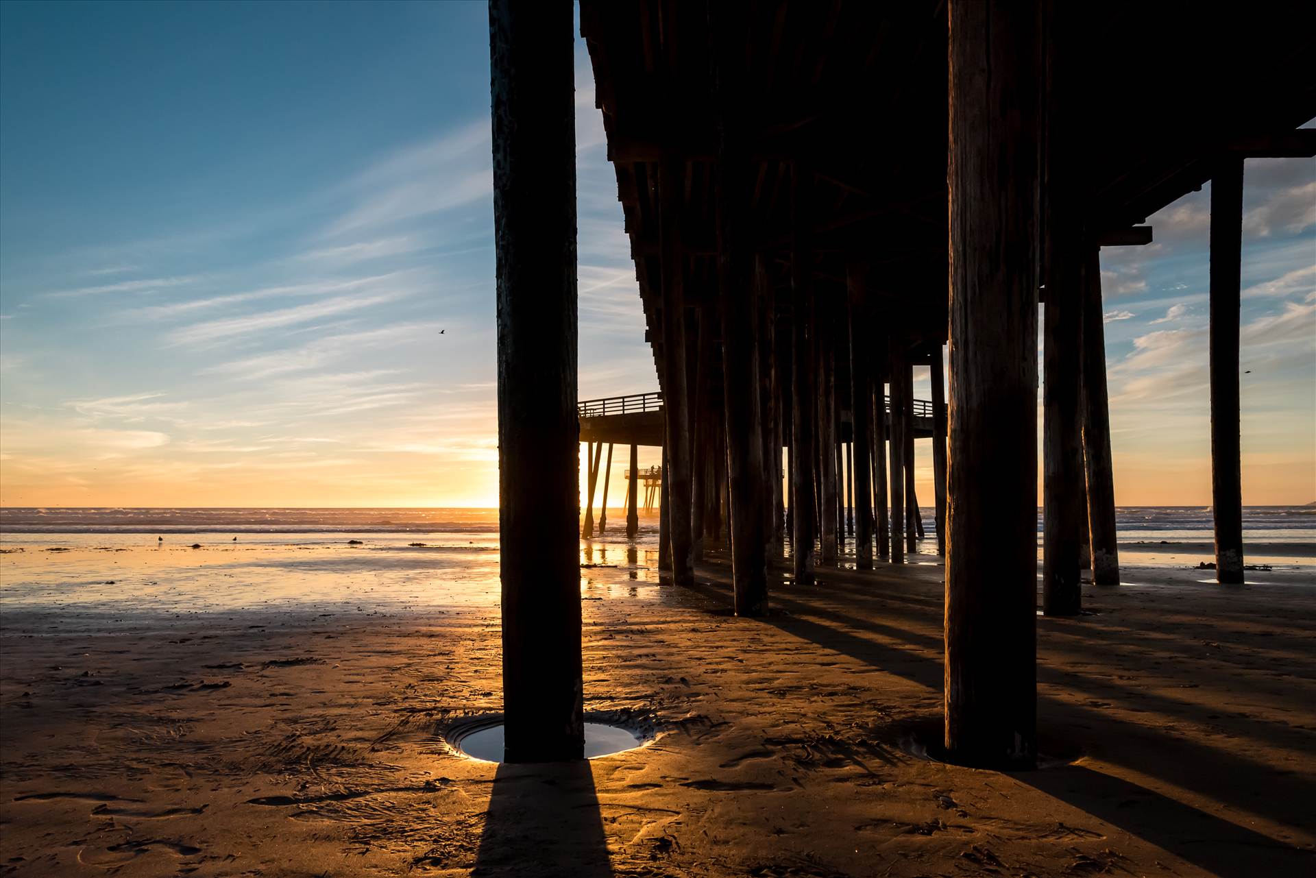 Under Pismo Pier at Sunset.jpg undefined by Sarah Williams