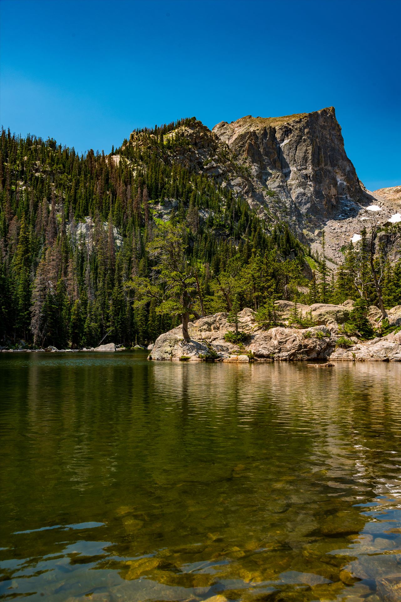 Dream Lake in the Sun  by Sarah Williams