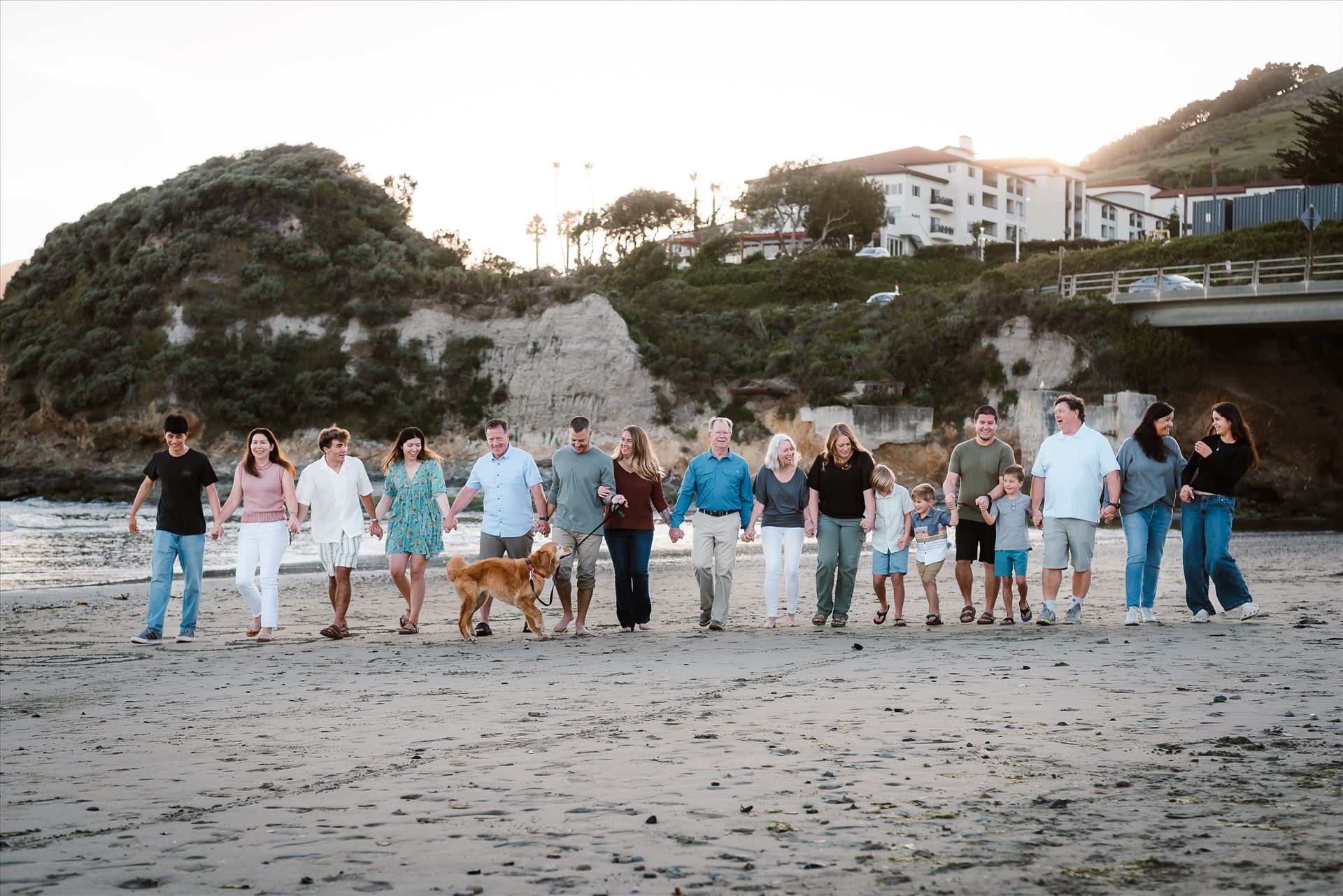 Final--3.jpg  by Sarah Williams