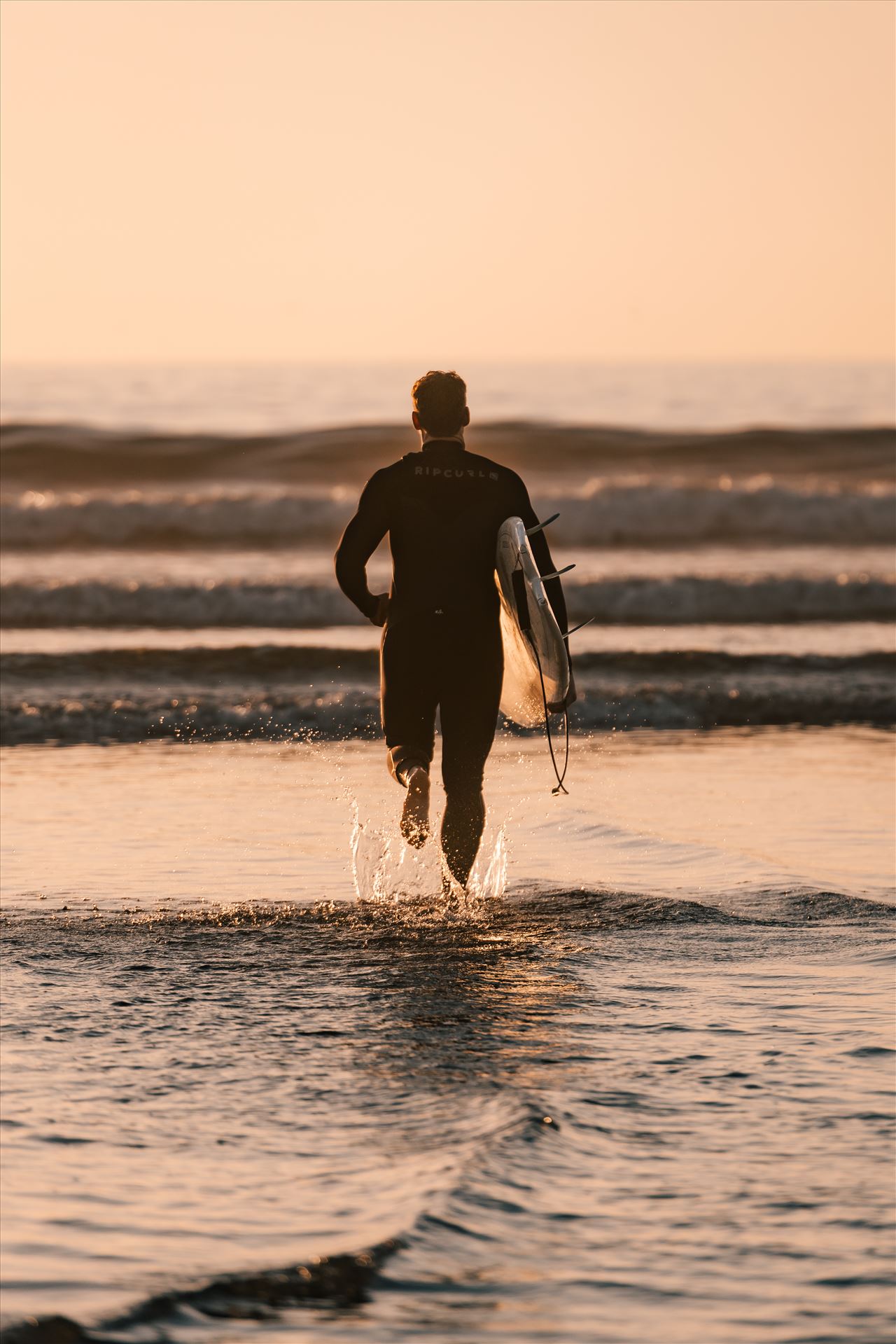 Final-7975.jpg  by Sarah Williams