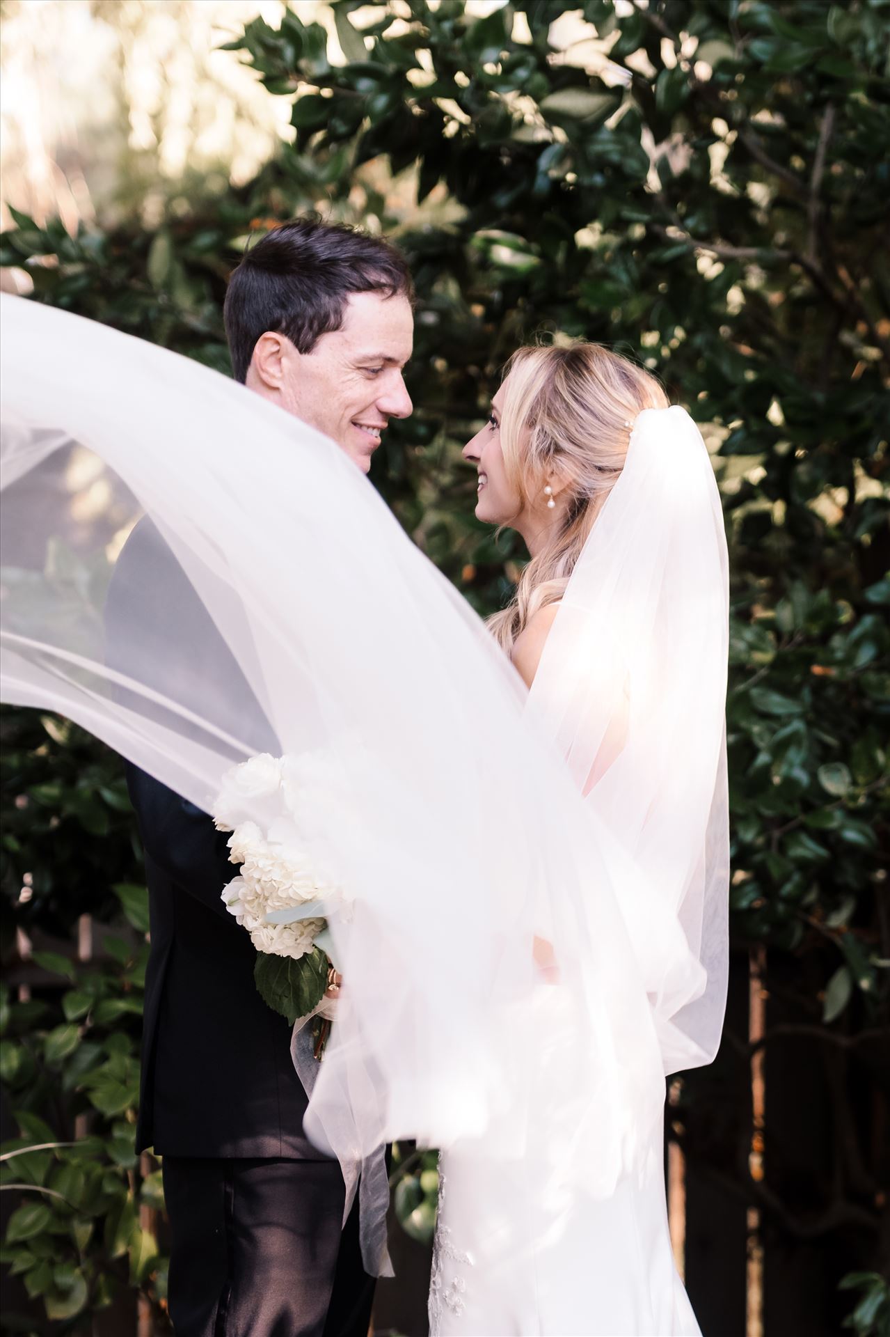 Final BG--27.jpg  by Sarah Williams