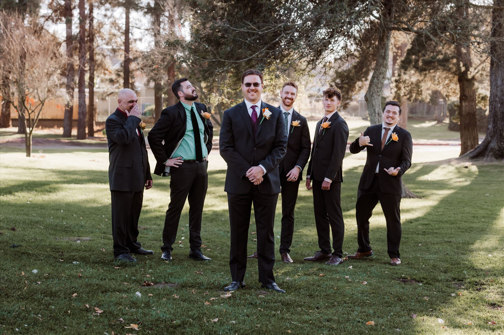 Final-1786.jpg  by Sarah Williams