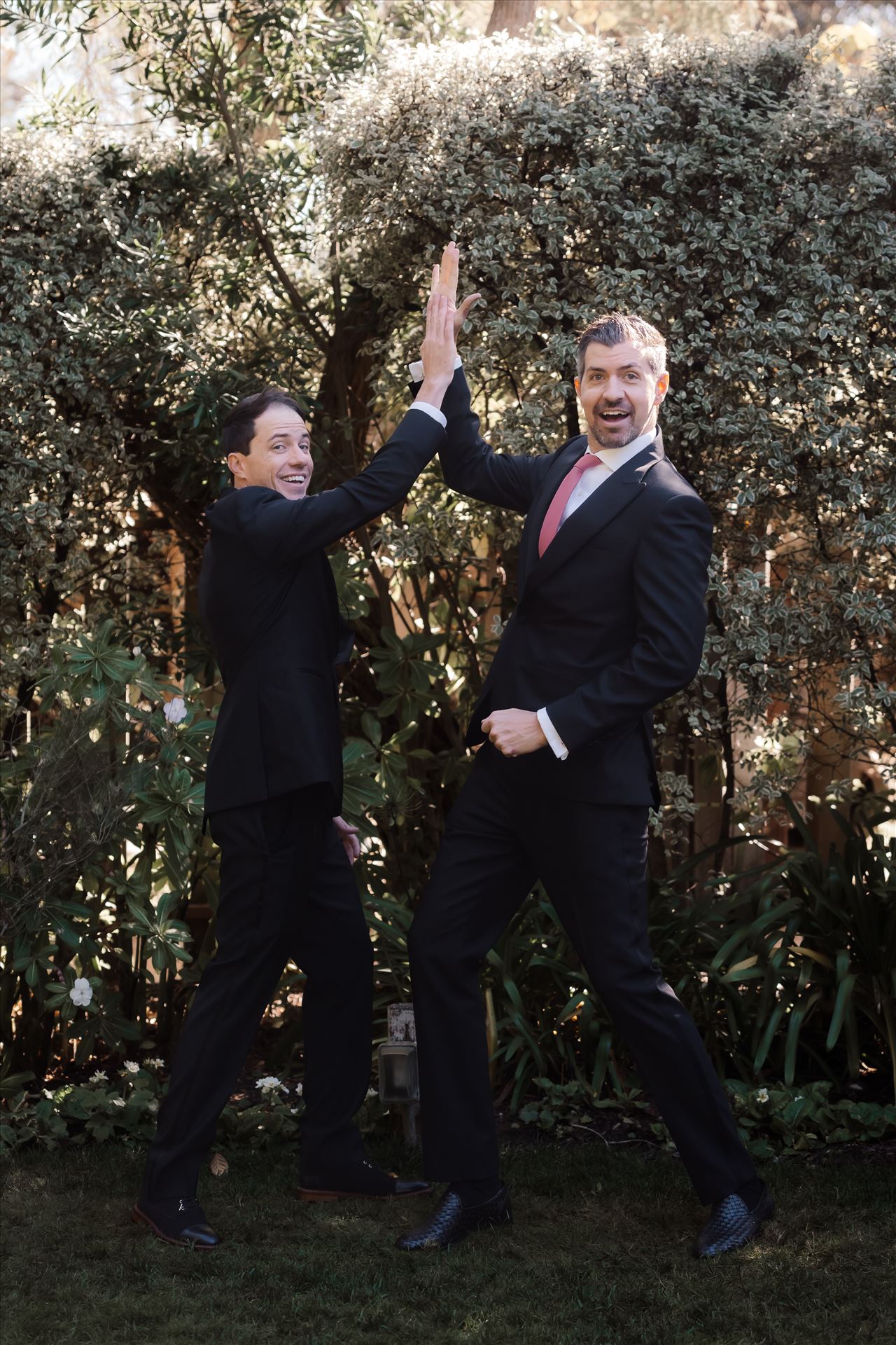 Final-9614.jpg  by Sarah Williams