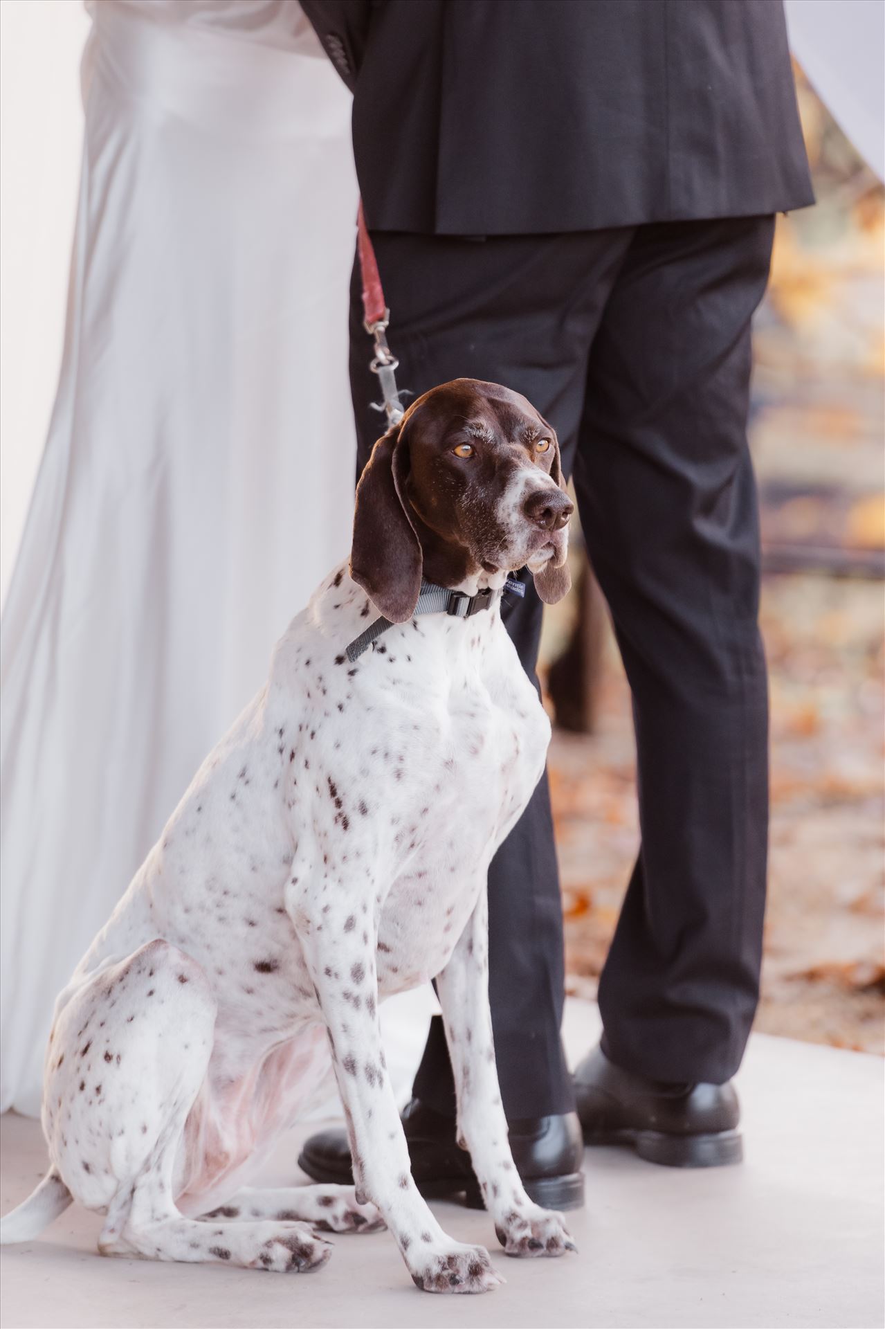 Final-2432.jpg  by Sarah Williams