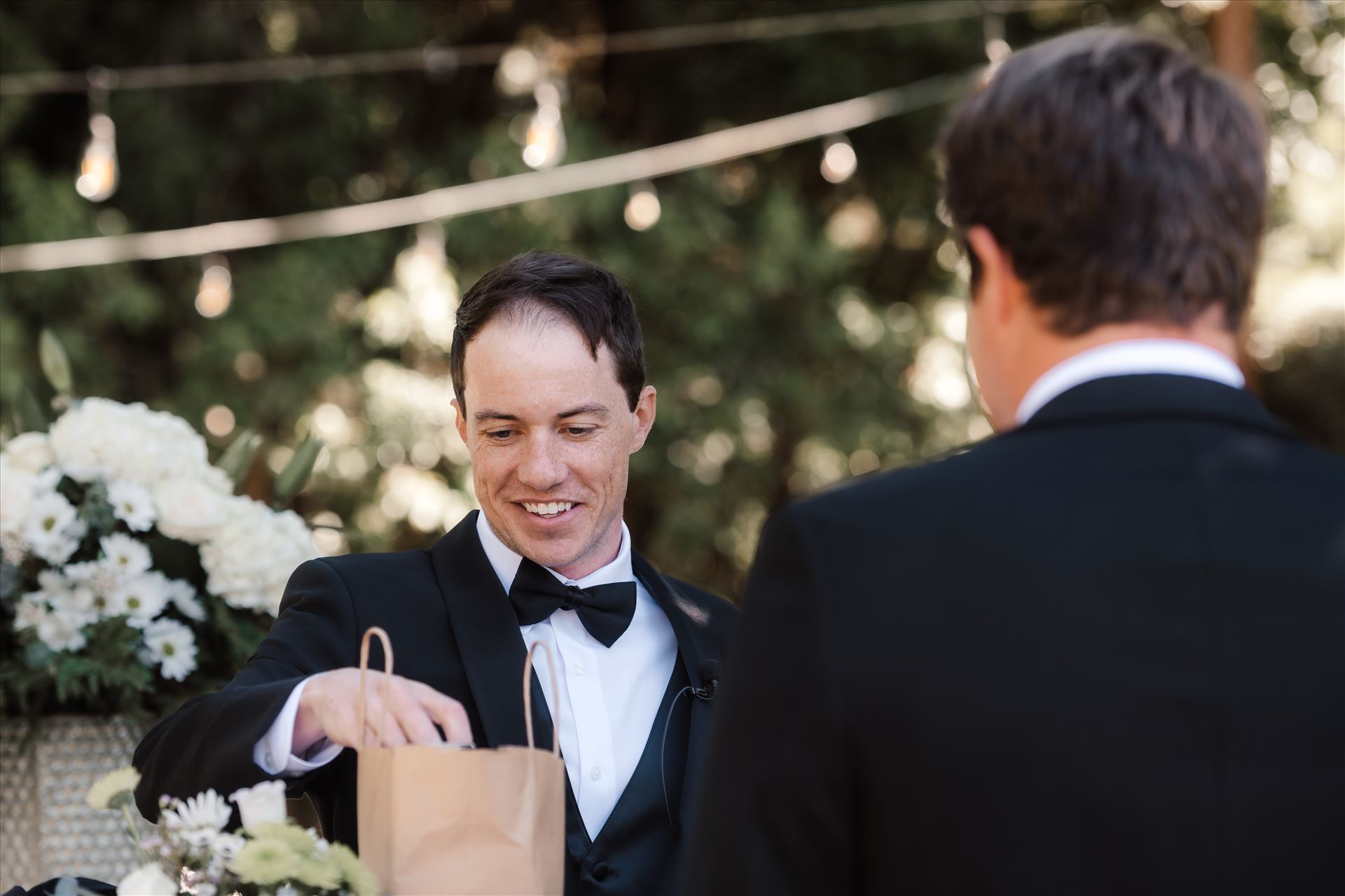 Final-9601.jpg  by Sarah Williams