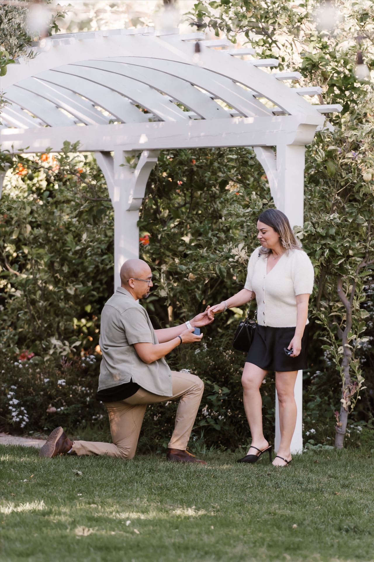 Final-5157.jpg  by Sarah Williams