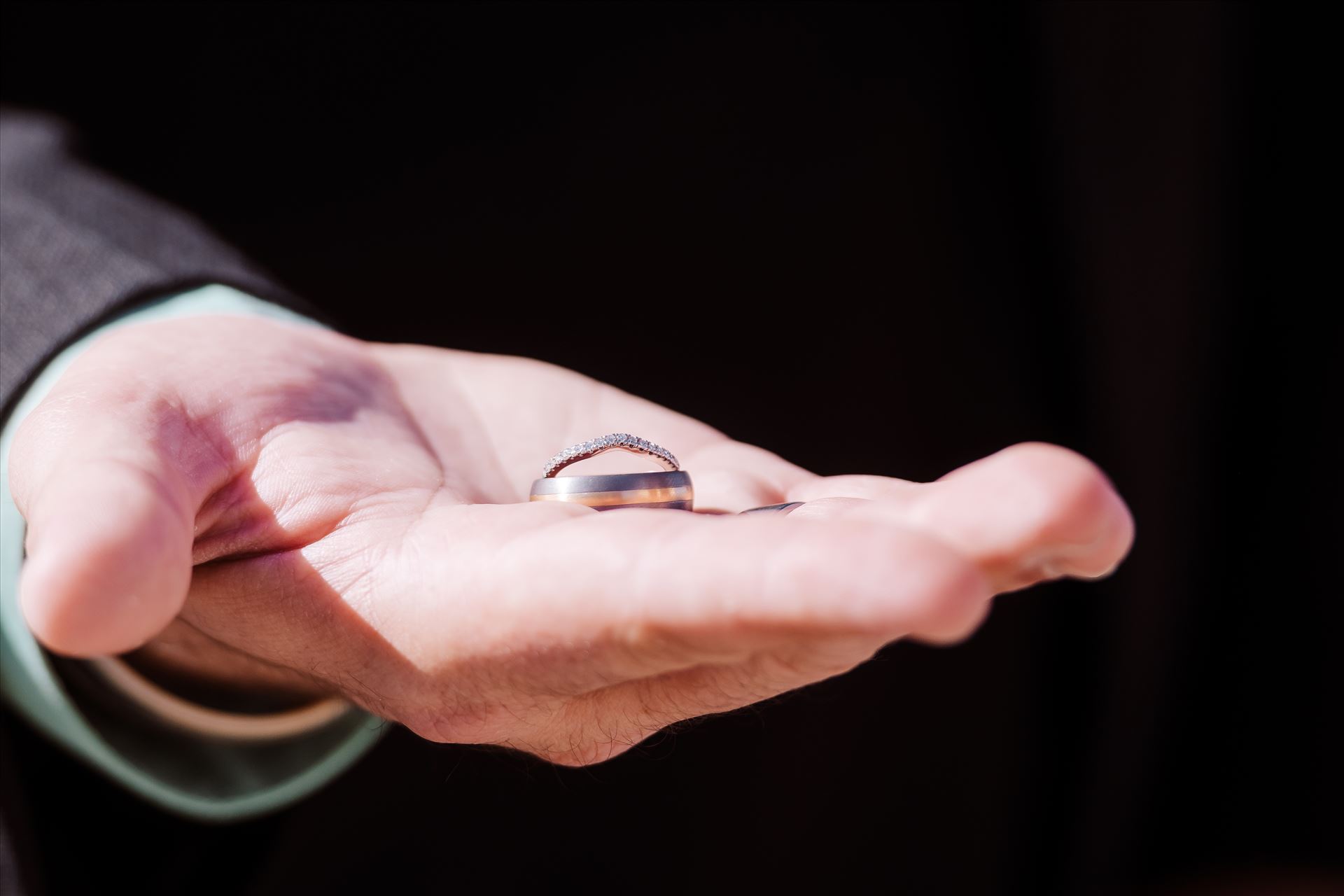 Final-1446.jpg  by Sarah Williams