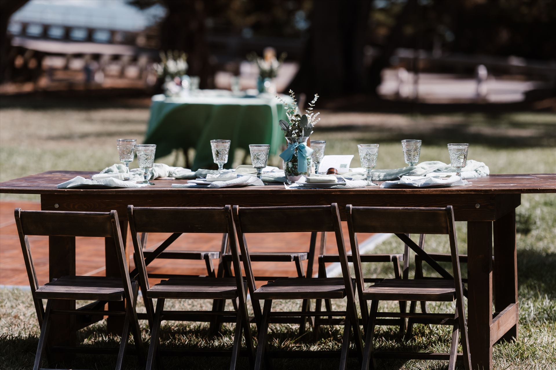 Final-4858.jpg  by Sarah Williams