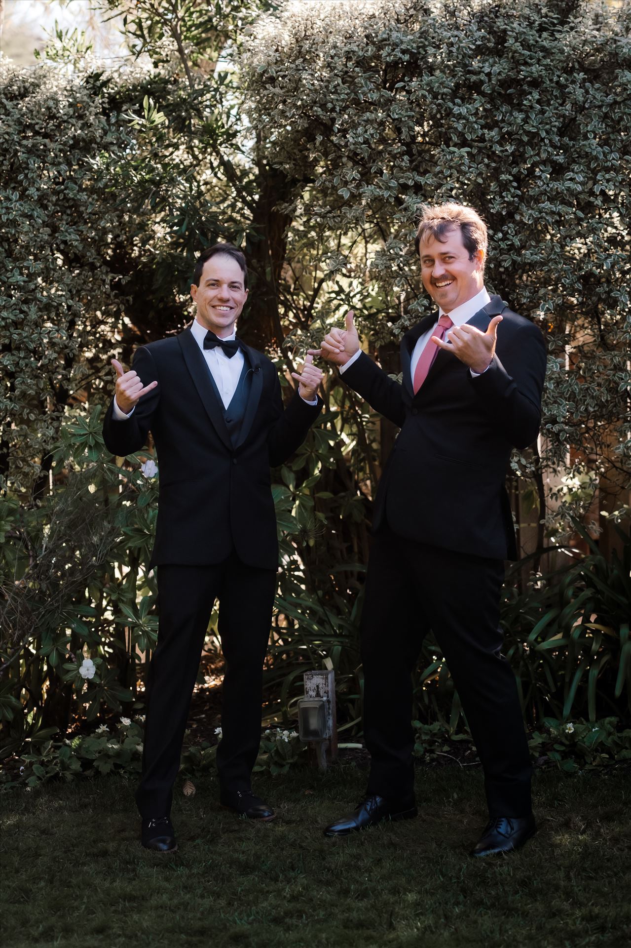 Final-9637.jpg  by Sarah Williams