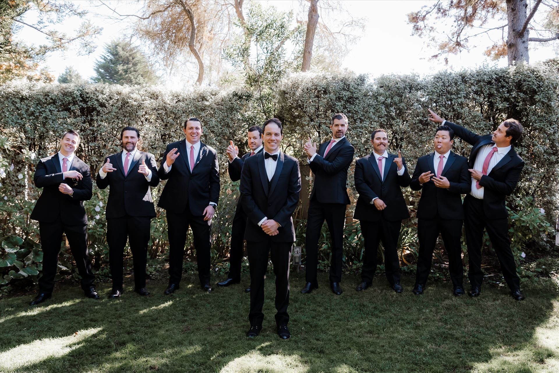 Final-8018.jpg  by Sarah Williams