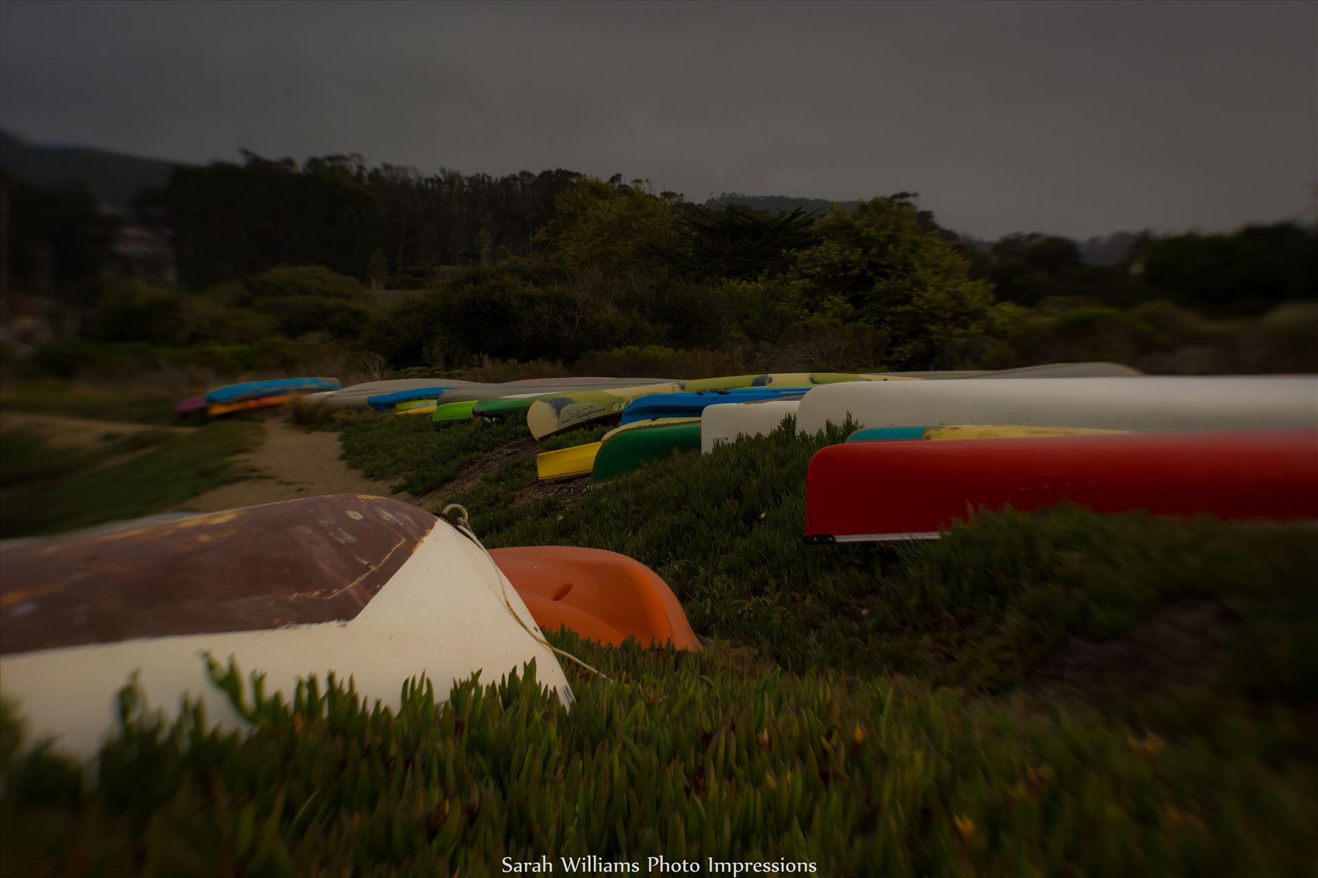 Colorful Kayaks.jpg  by Sarah Williams