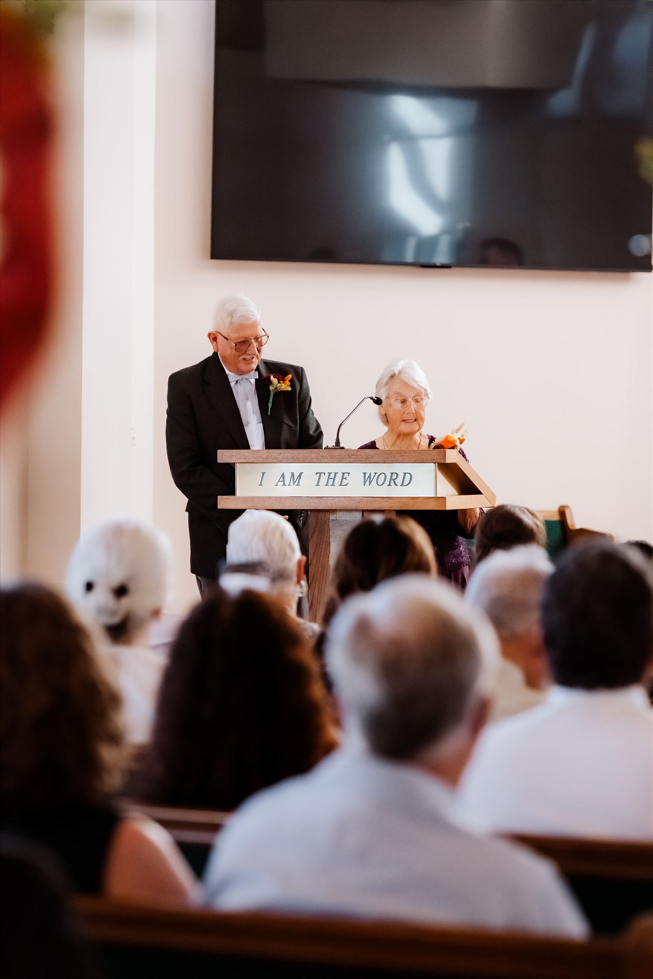 Final-1507.jpg  by Sarah Williams