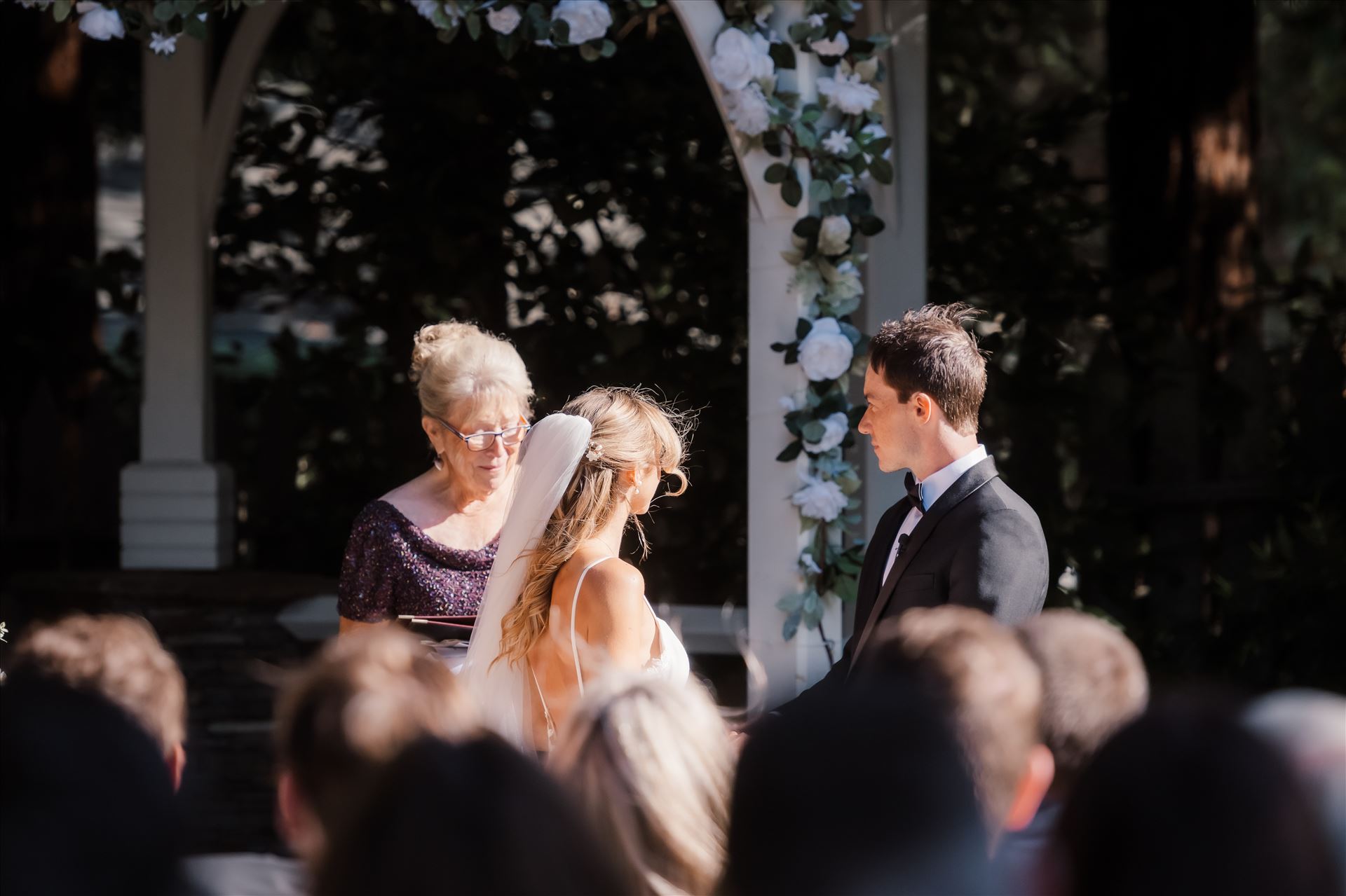 Final-0174.jpg  by Sarah Williams