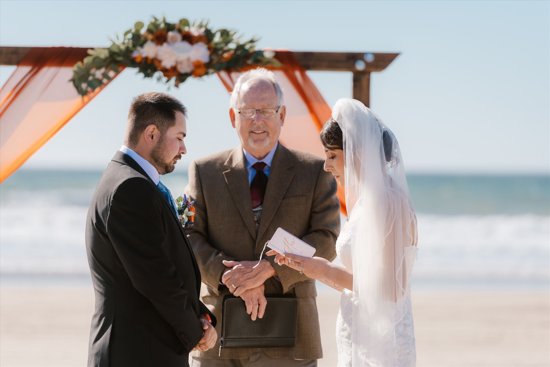 Final-4257.jpg  by Sarah Williams