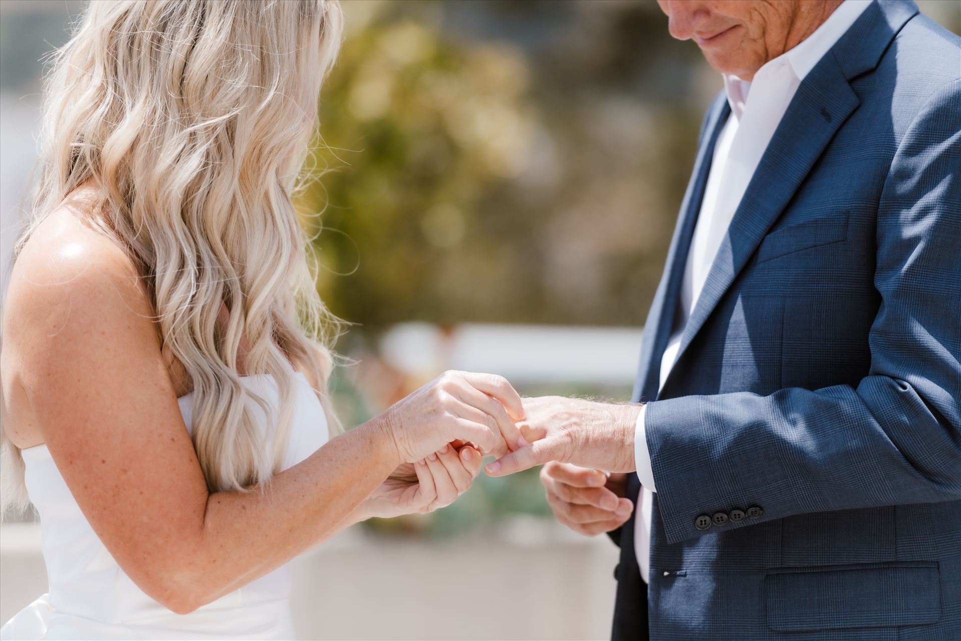 Final-7828.jpg  by Sarah Williams