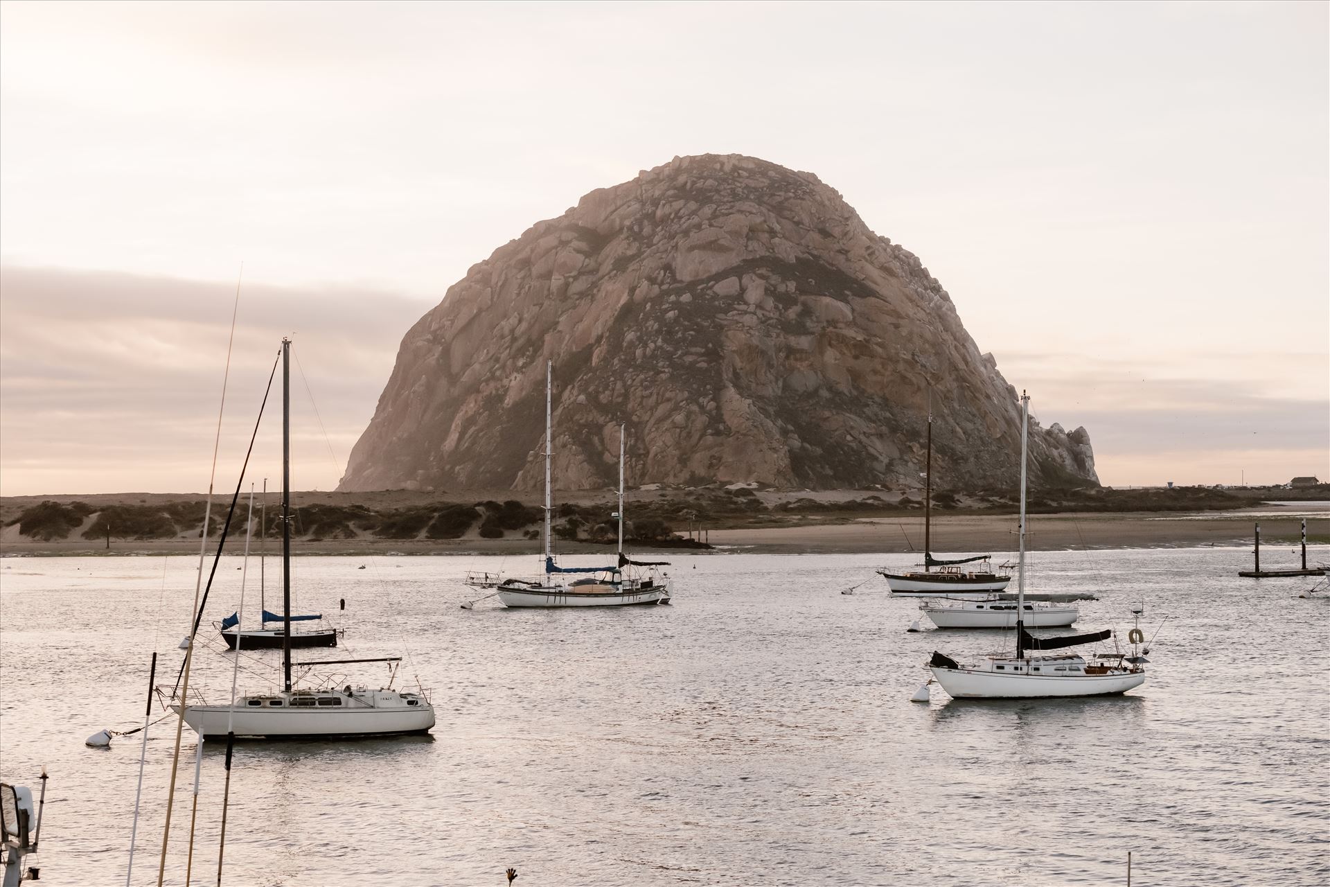 Final-9596.jpg  by Sarah Williams