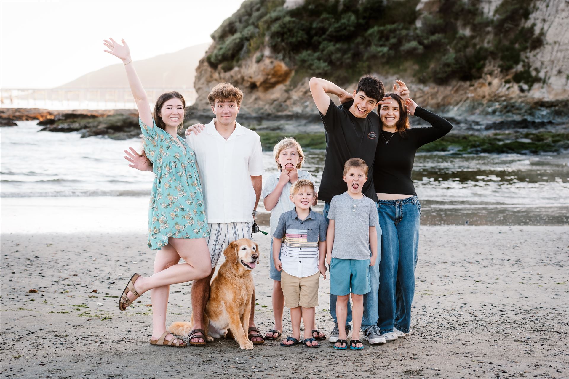 Final--12.jpg  by Sarah Williams