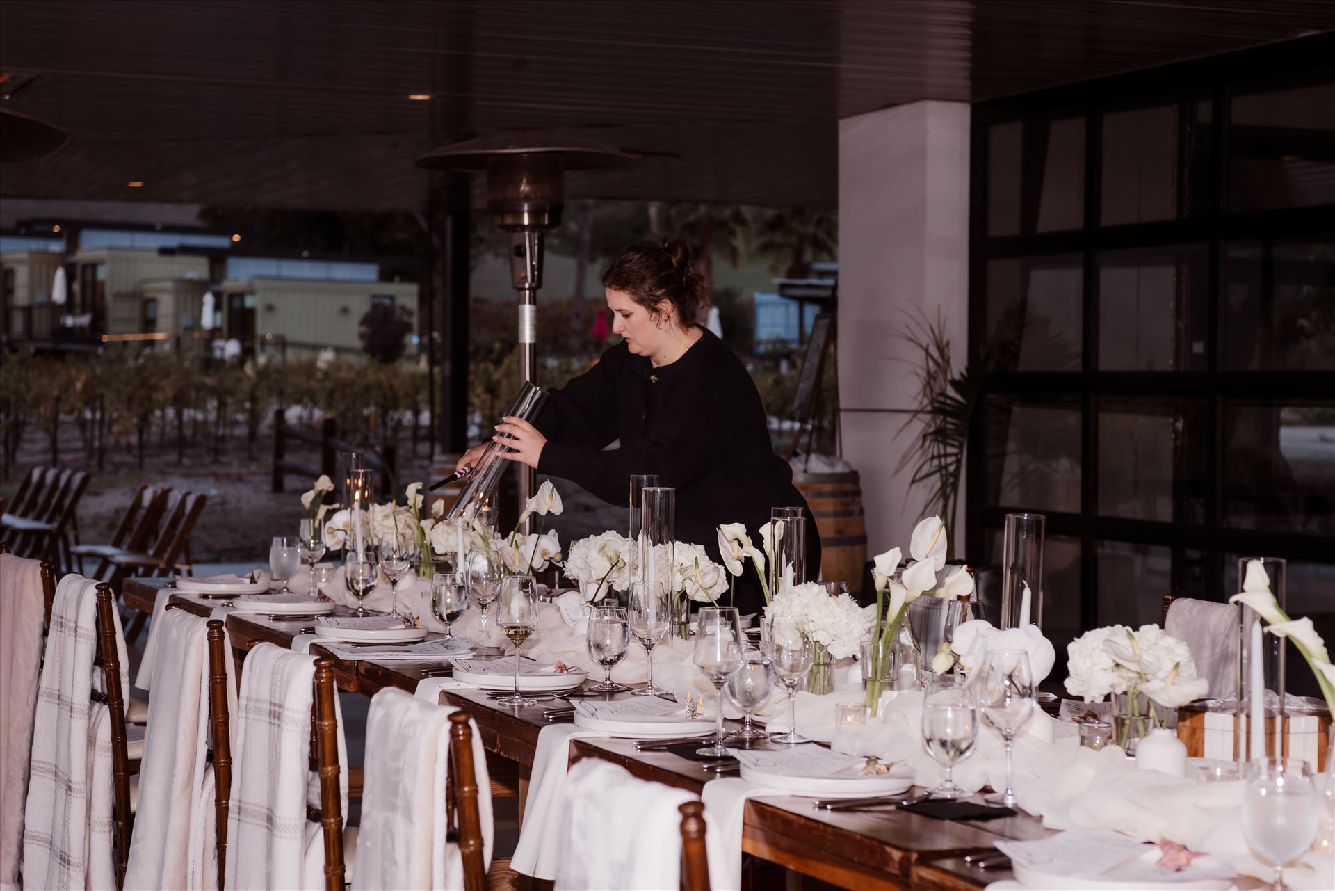 Final-9368.jpg  by Sarah Williams