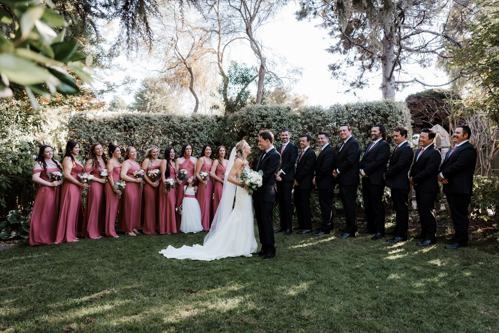 Final-8289.jpg  by Sarah Williams