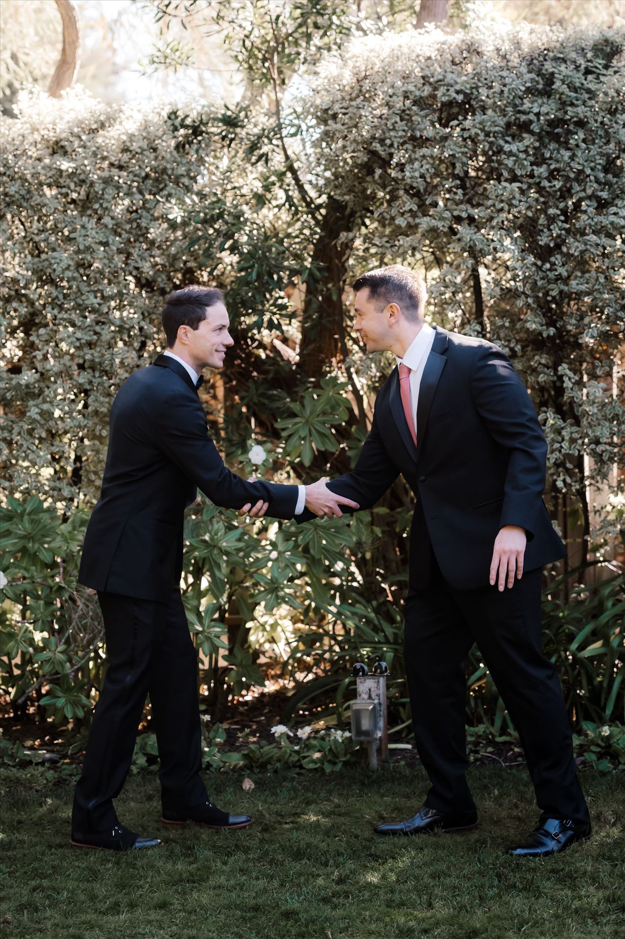 Final-9683.jpg  by Sarah Williams