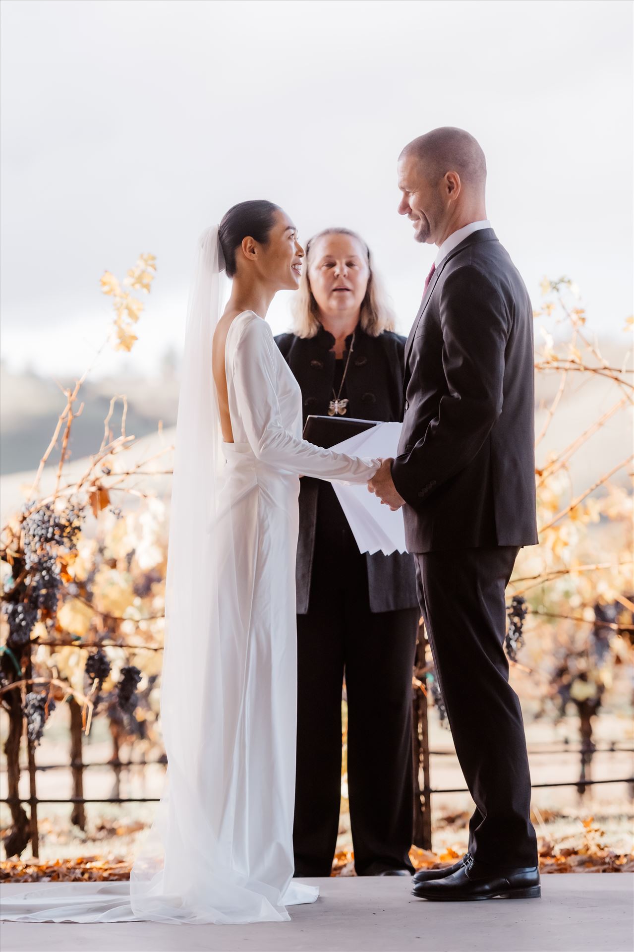 Final-2469.jpg  by Sarah Williams