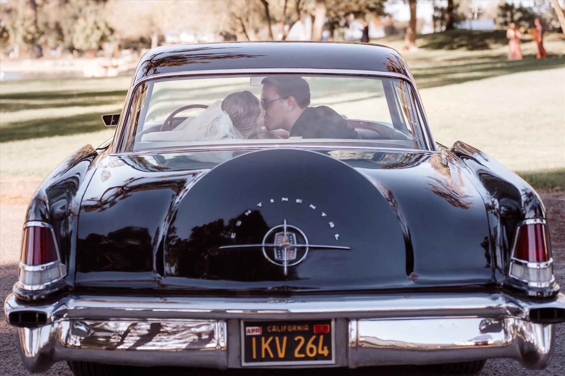 BG Final-1863.jpg  by Sarah Williams