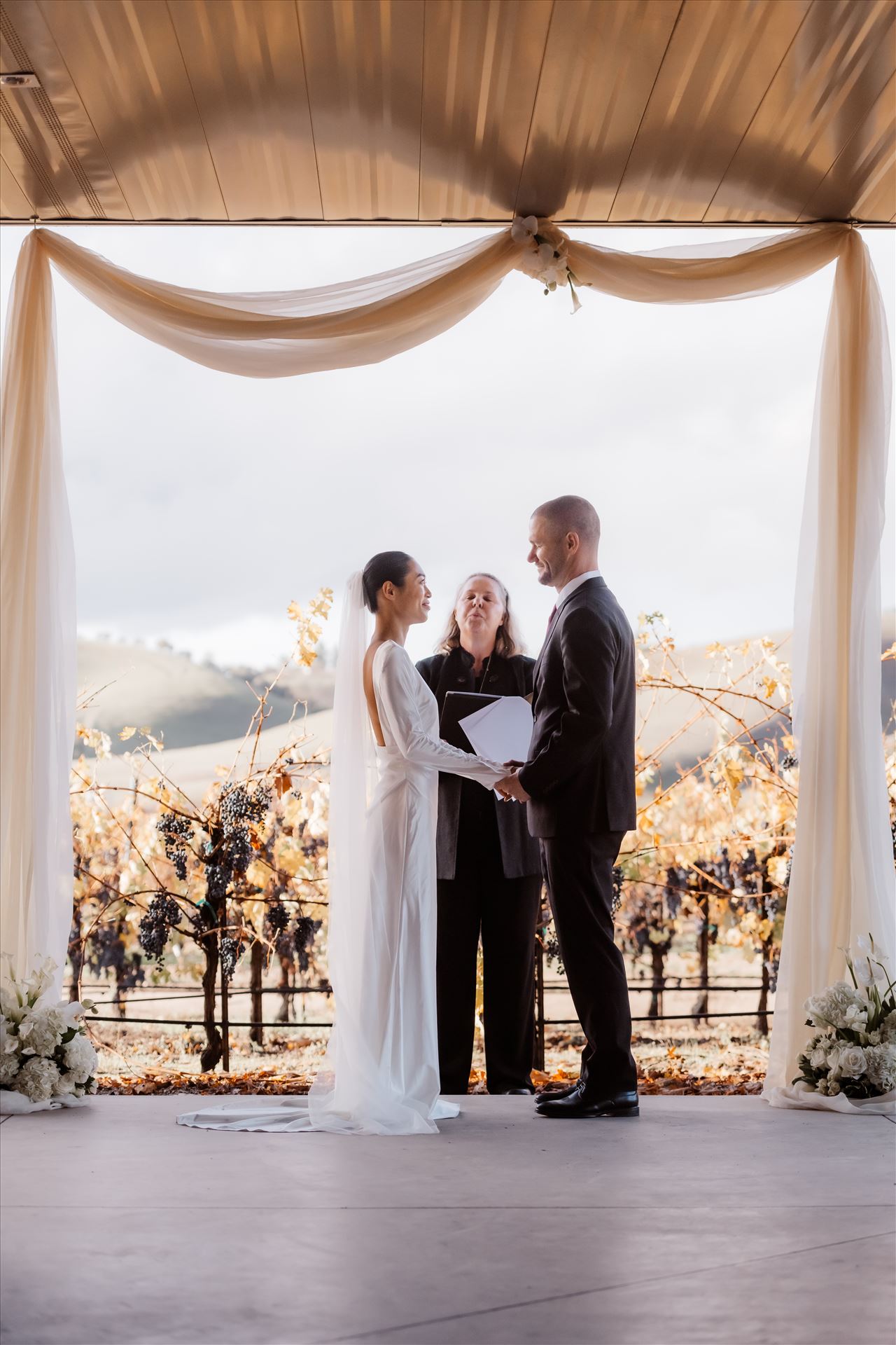 Final-2463.jpg  by Sarah Williams