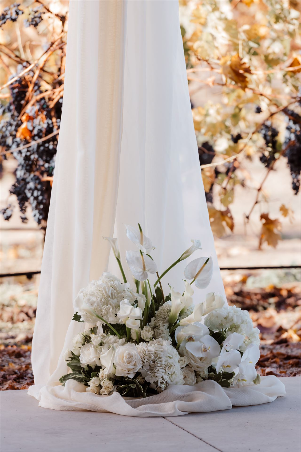 Final-2363.jpg  by Sarah Williams