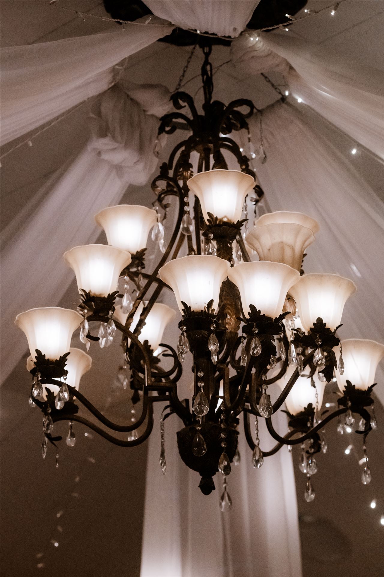 Final-0644.jpg  by Sarah Williams