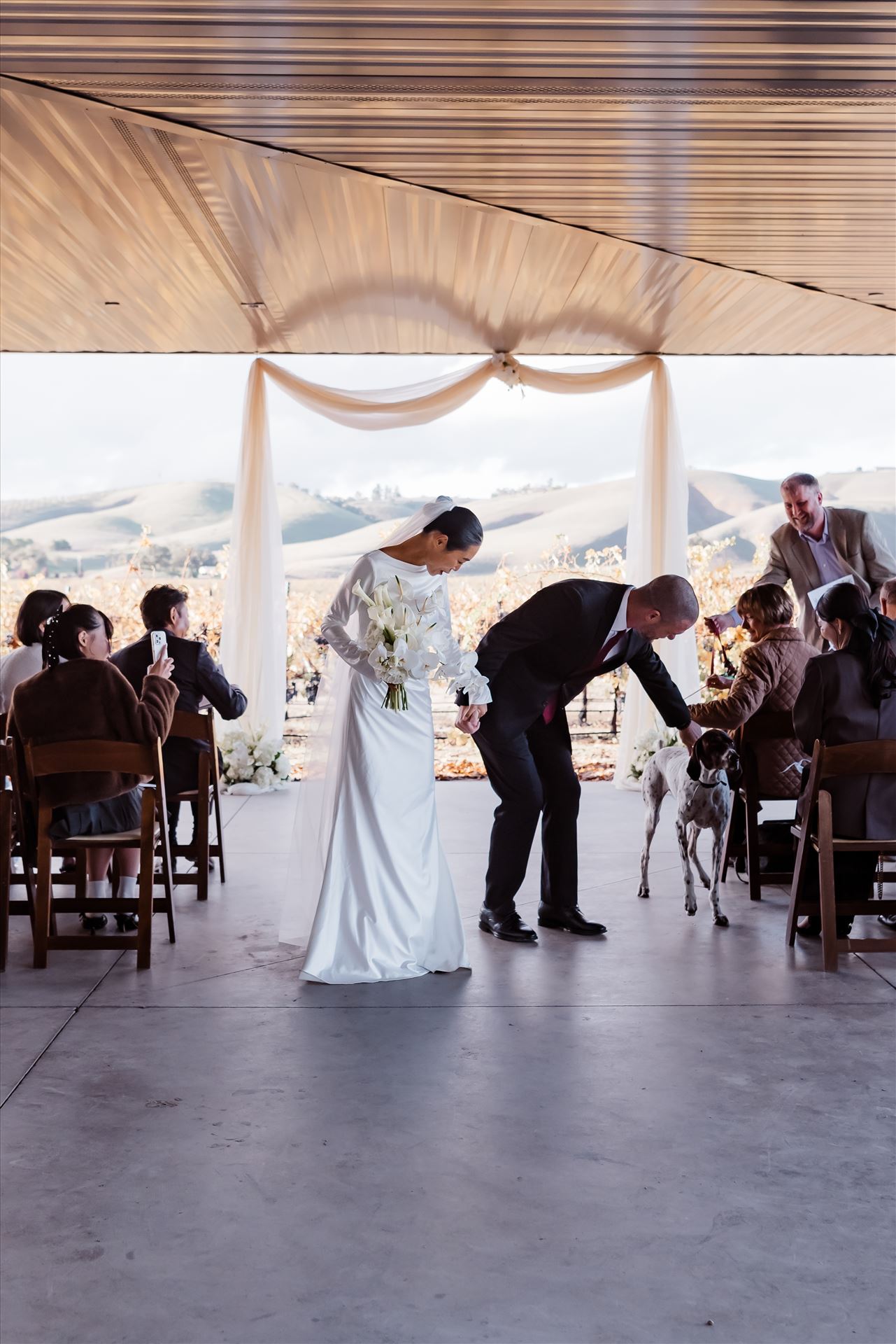 Final-9166.jpg  by Sarah Williams