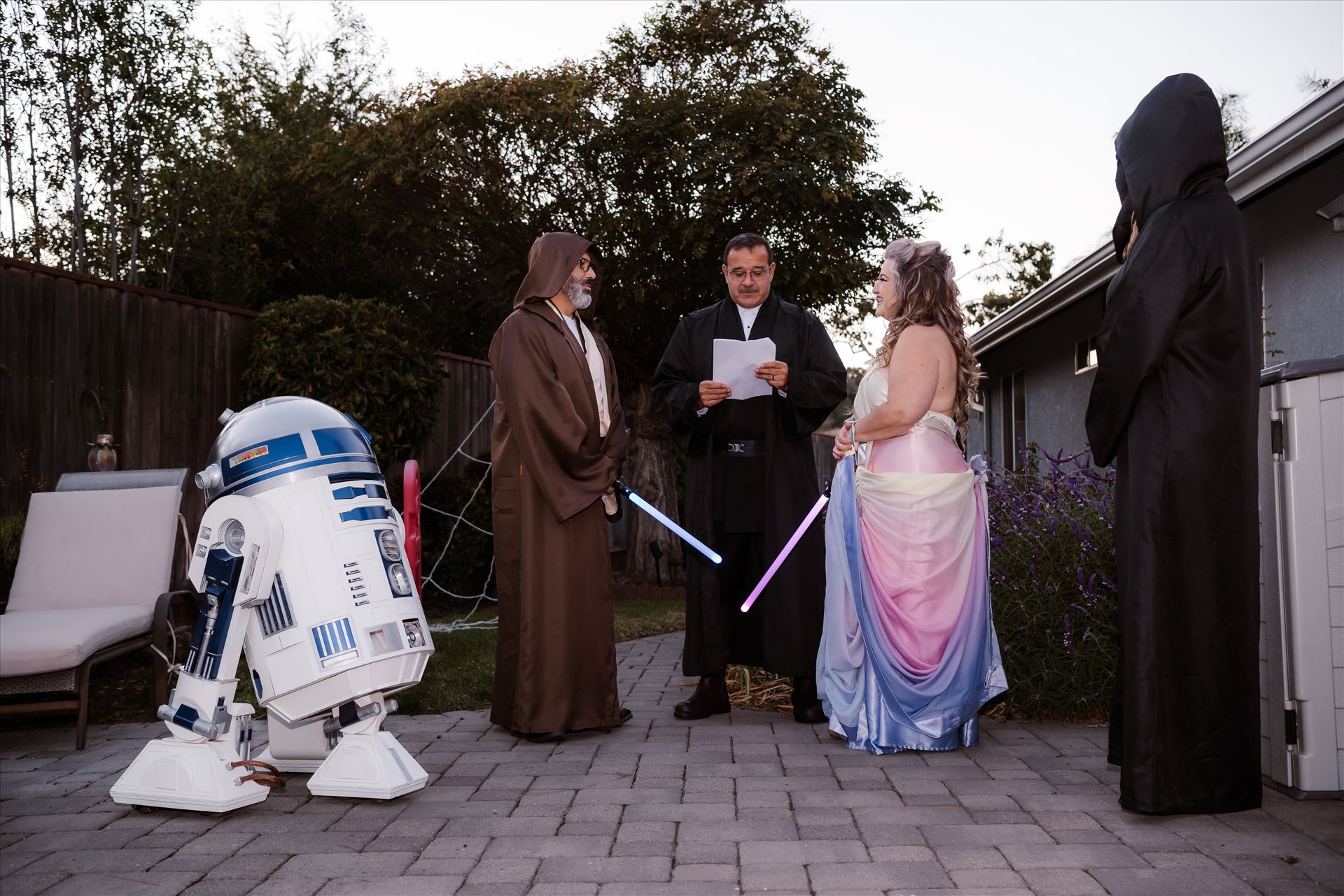 Final-7323.jpg  by Sarah Williams