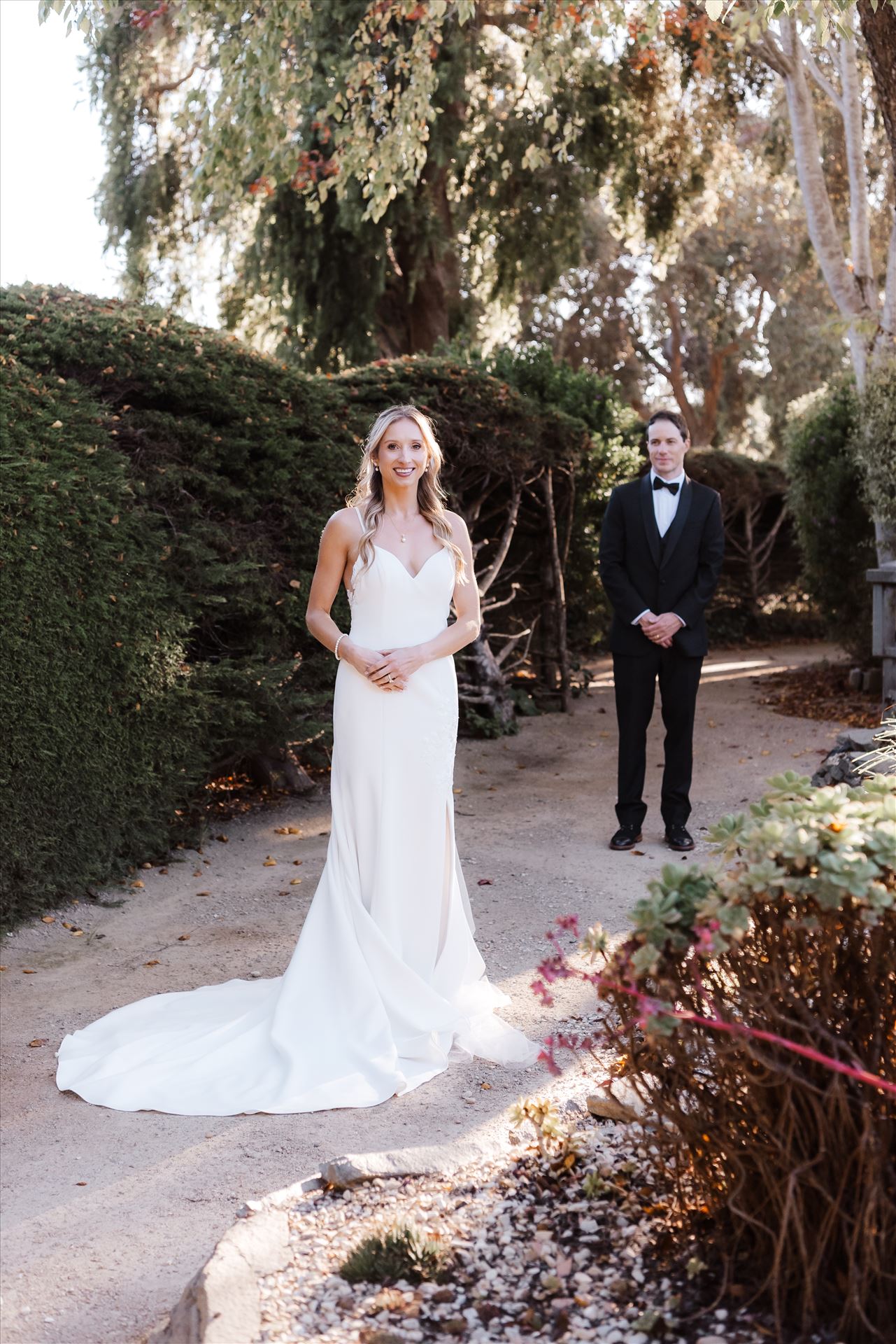 Final BG-8459.jpg  by Sarah Williams