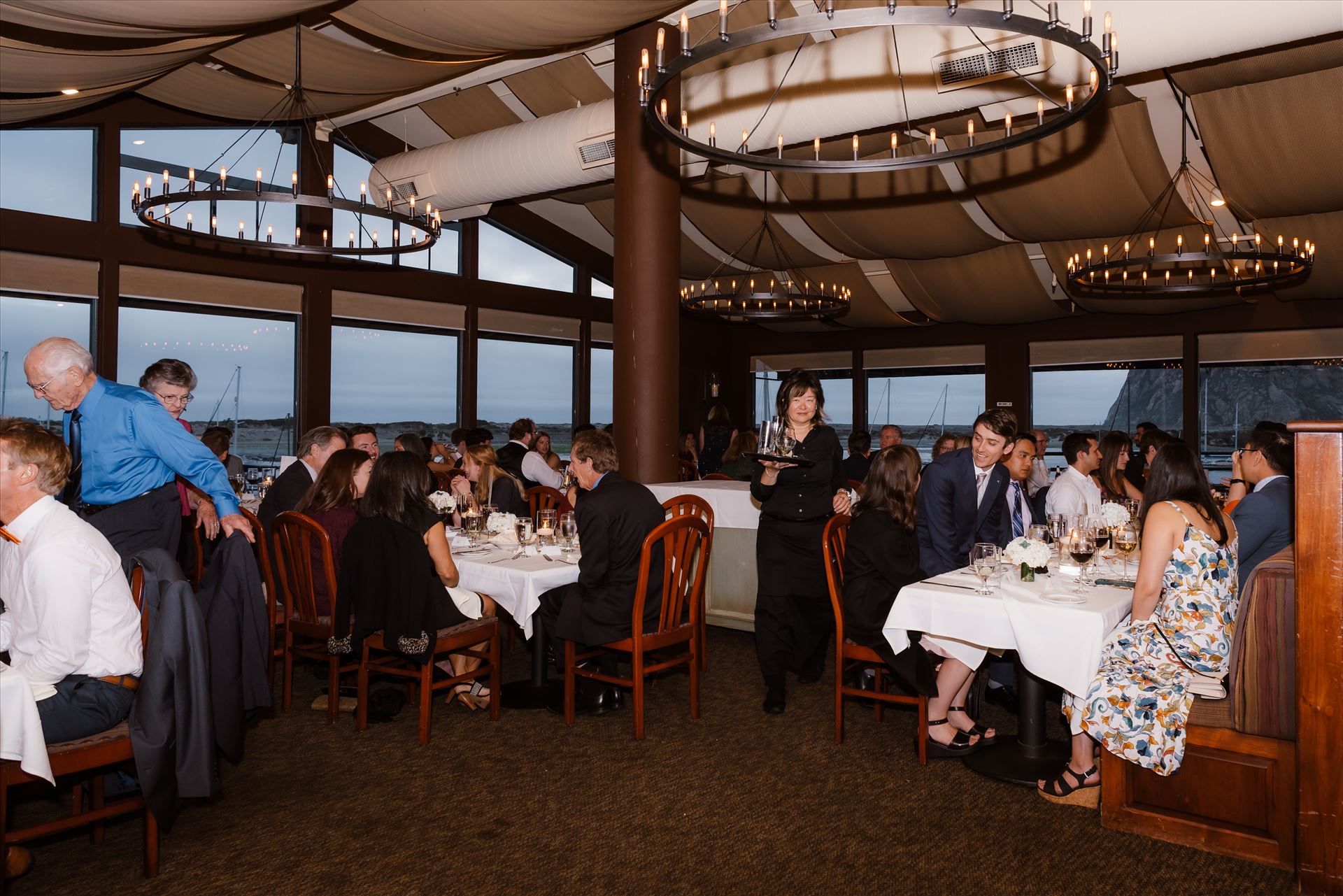 Final-7956.jpg  by Sarah Williams