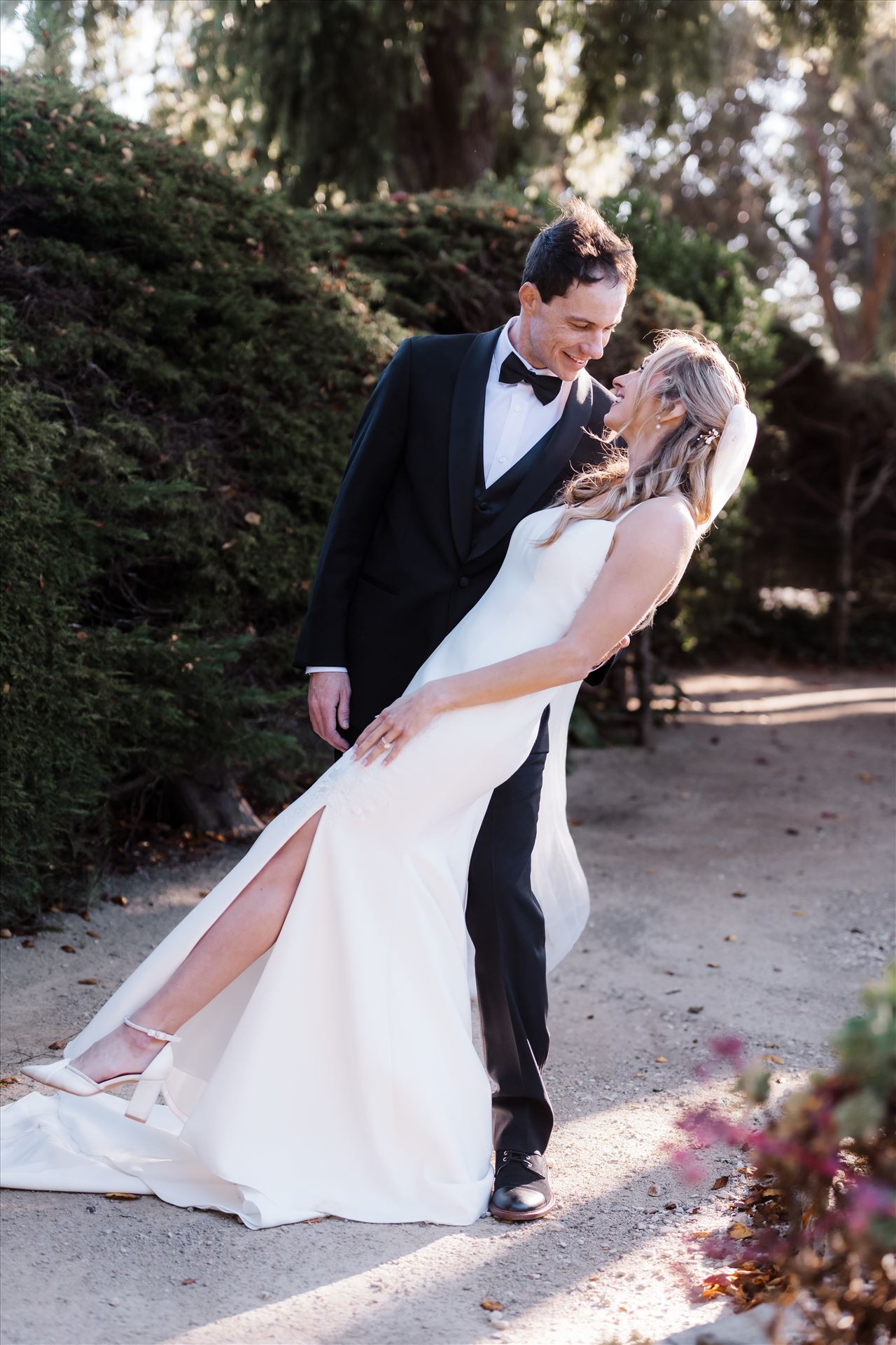 Final BG--3.jpg  by Sarah Williams