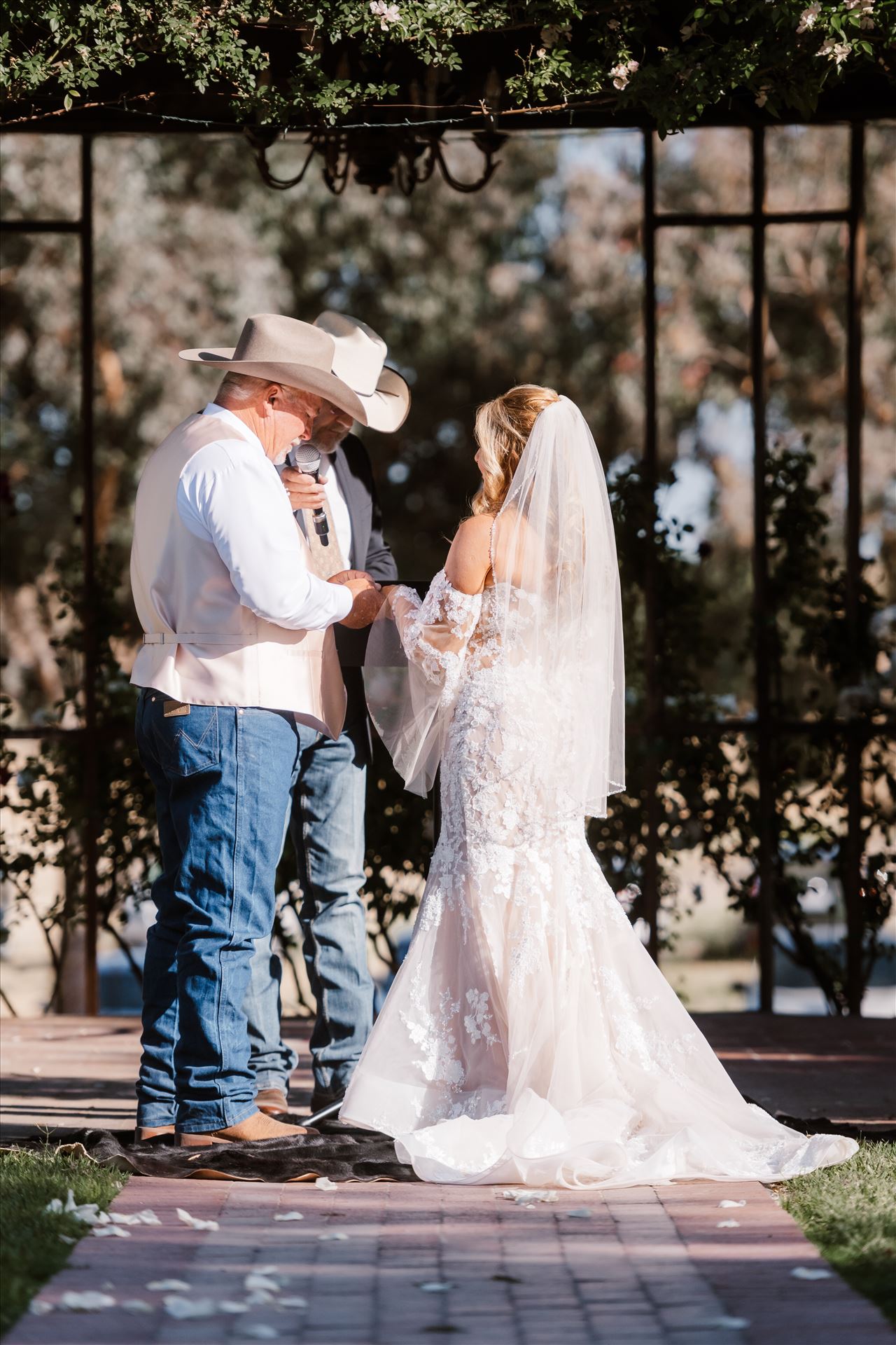 Final-1023.jpg  by Sarah Williams