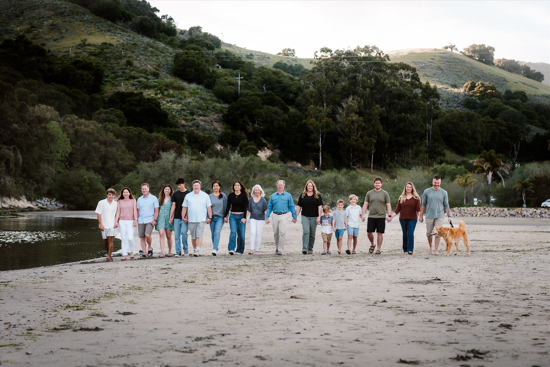 Final--8.jpg  by Sarah Williams