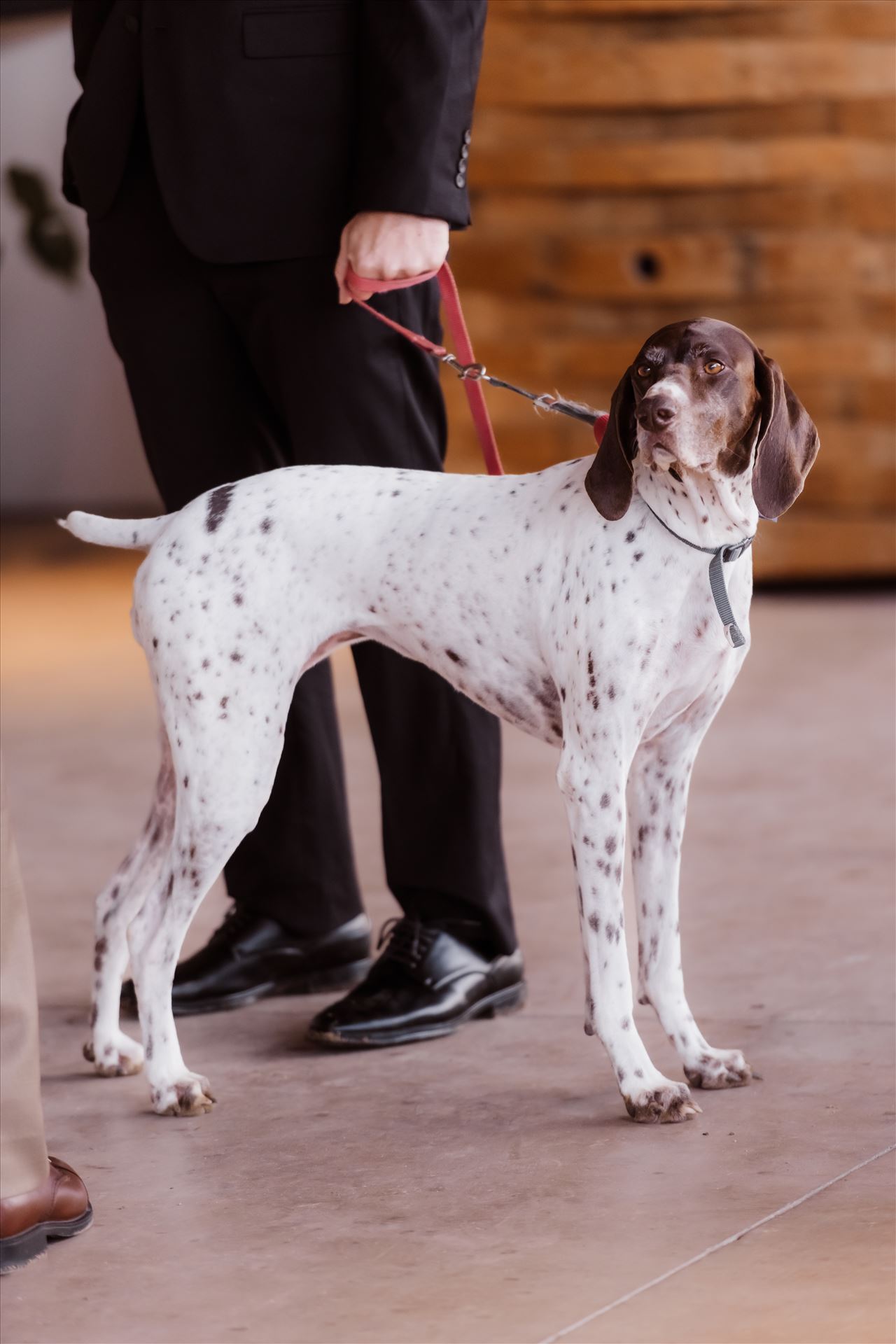 Final-2714.jpg  by Sarah Williams