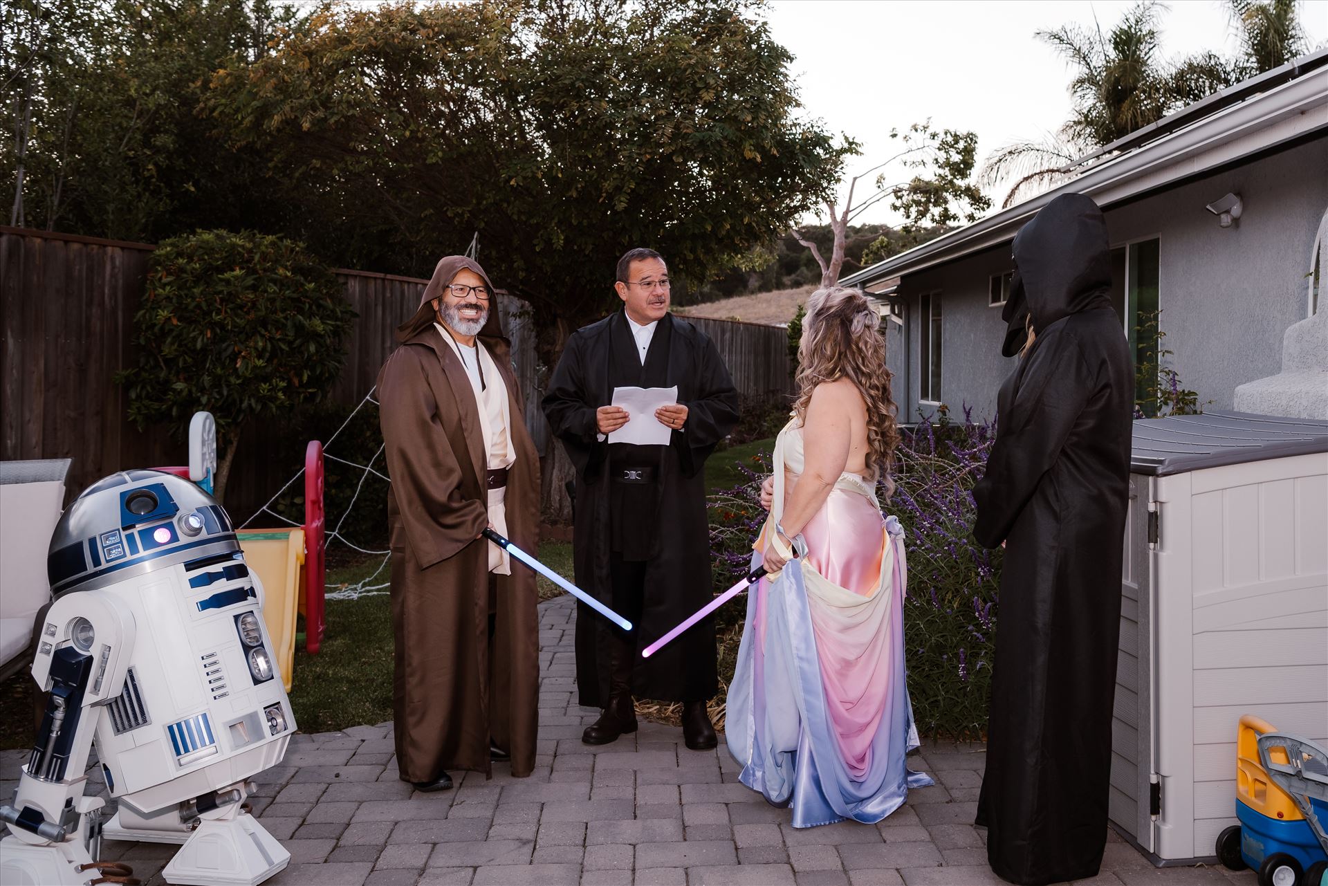 Final-7307.jpg  by Sarah Williams