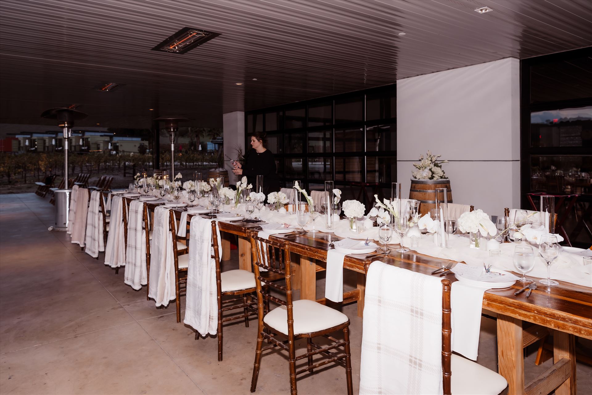 Final-9369.jpg  by Sarah Williams