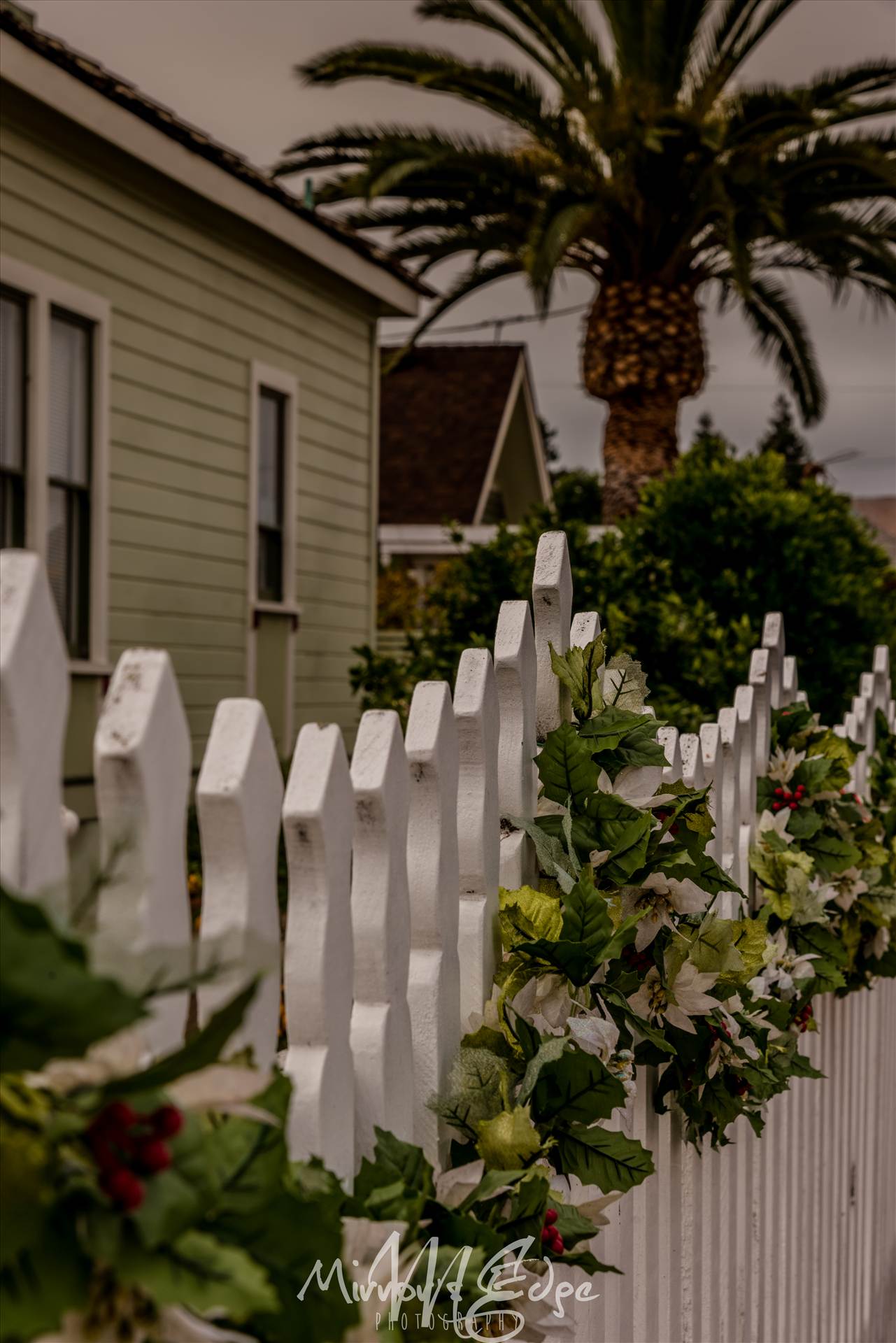 Holiday Picket Fence.jpg undefined by Sarah Williams