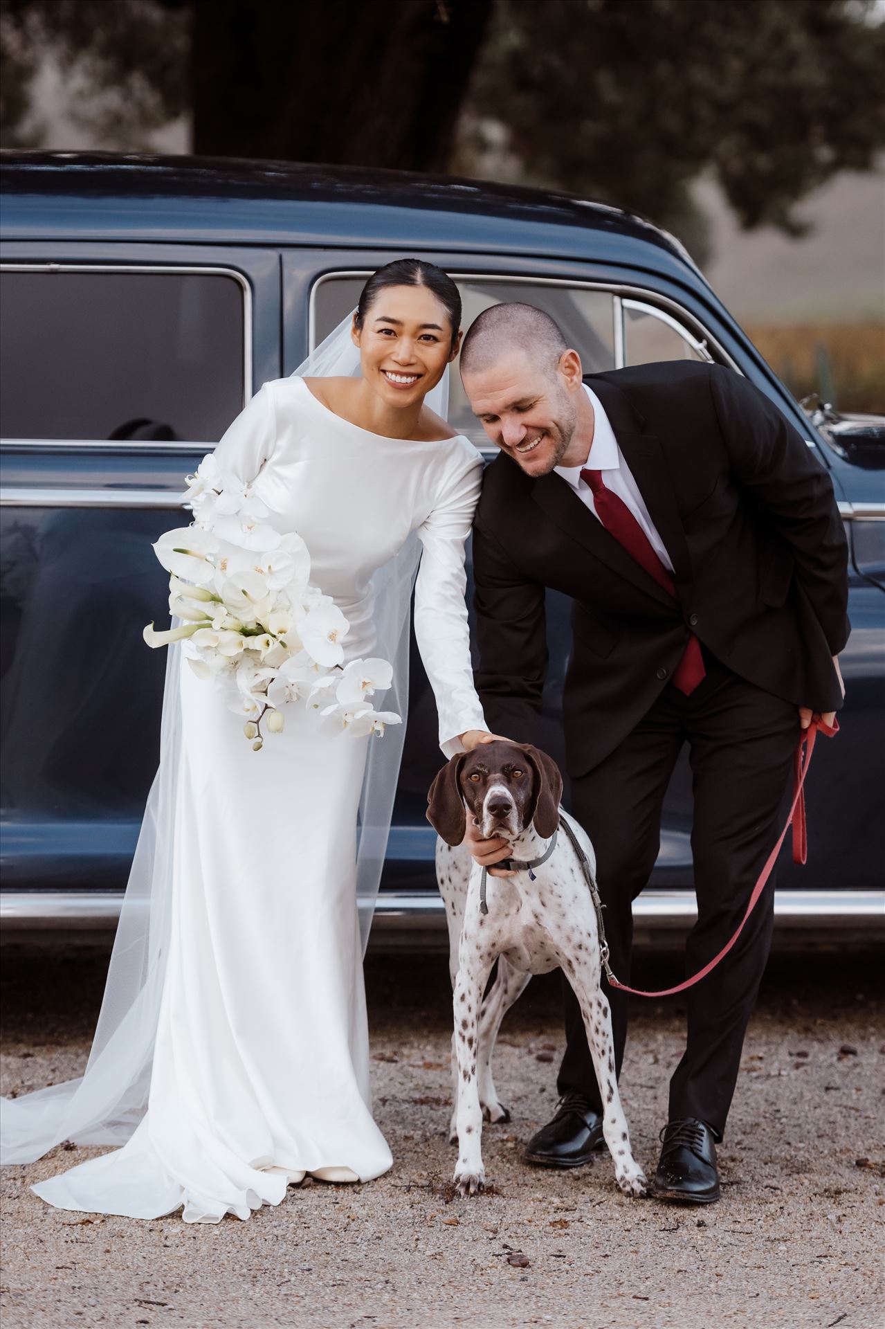 BG Final-2534.jpg  by Sarah Williams