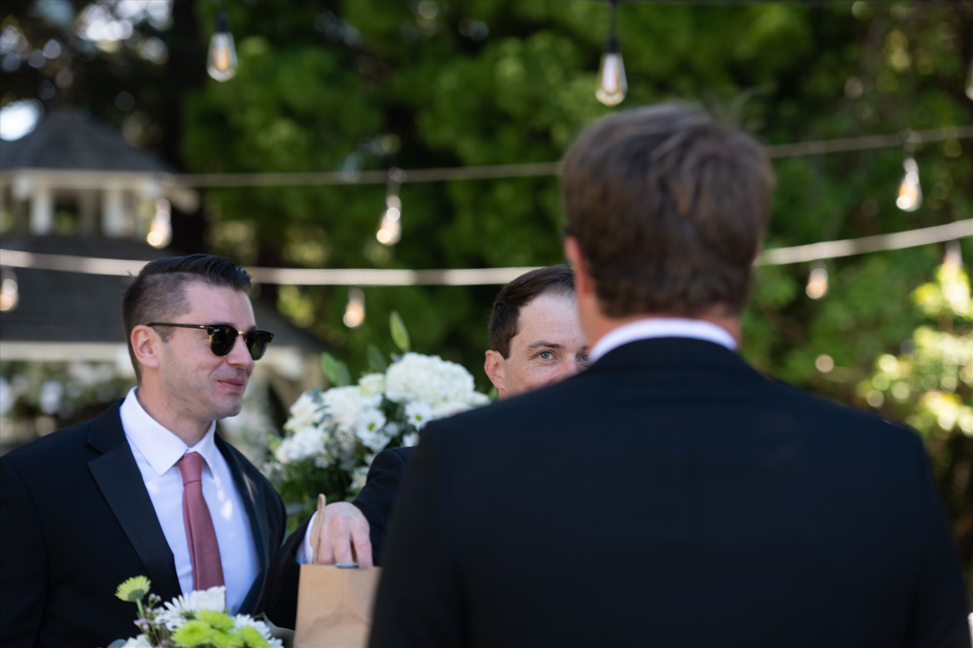 Final BG-9600.jpg  by Sarah Williams