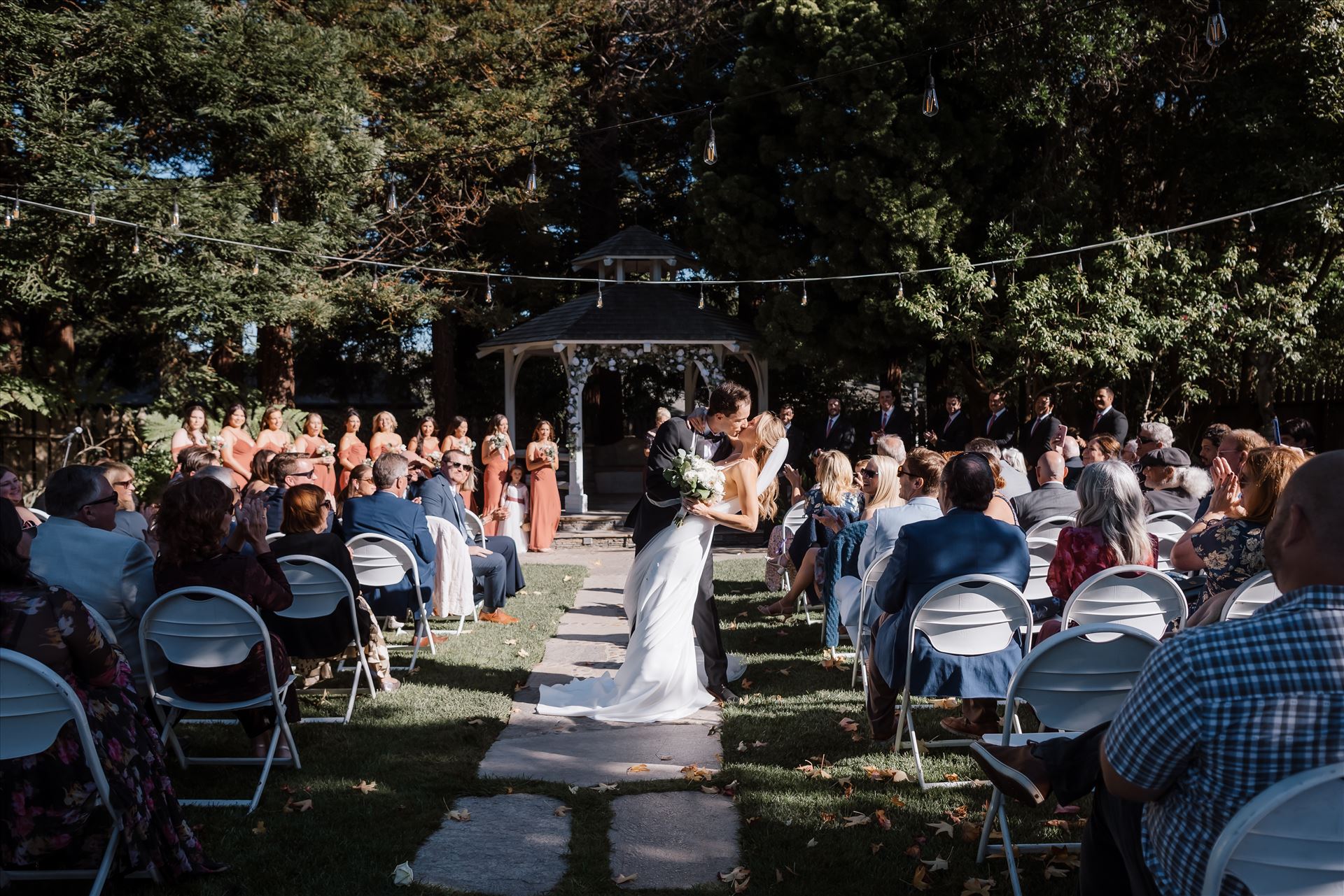 Final-8224.jpg  by Sarah Williams