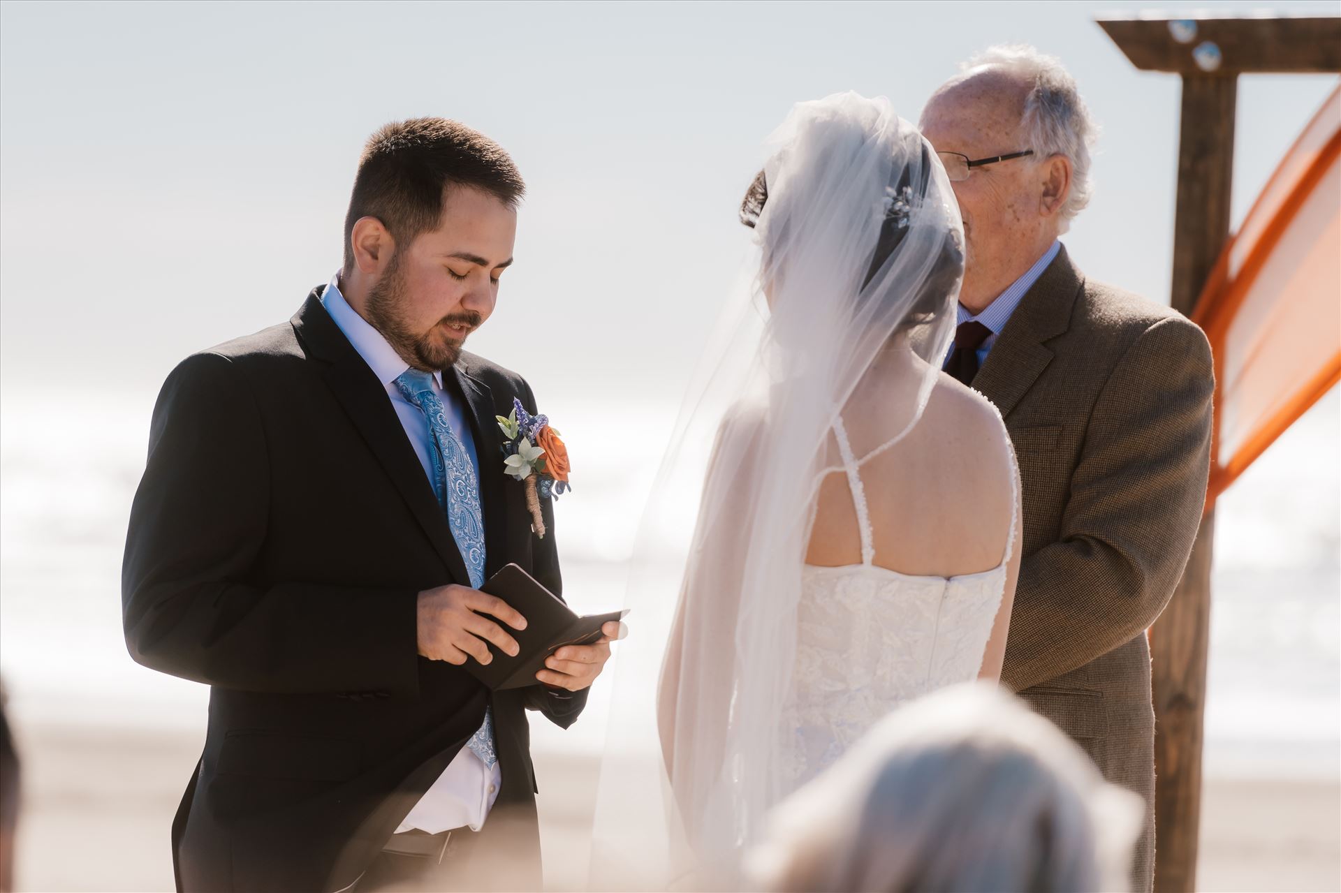 Final-4224.jpg  by Sarah Williams